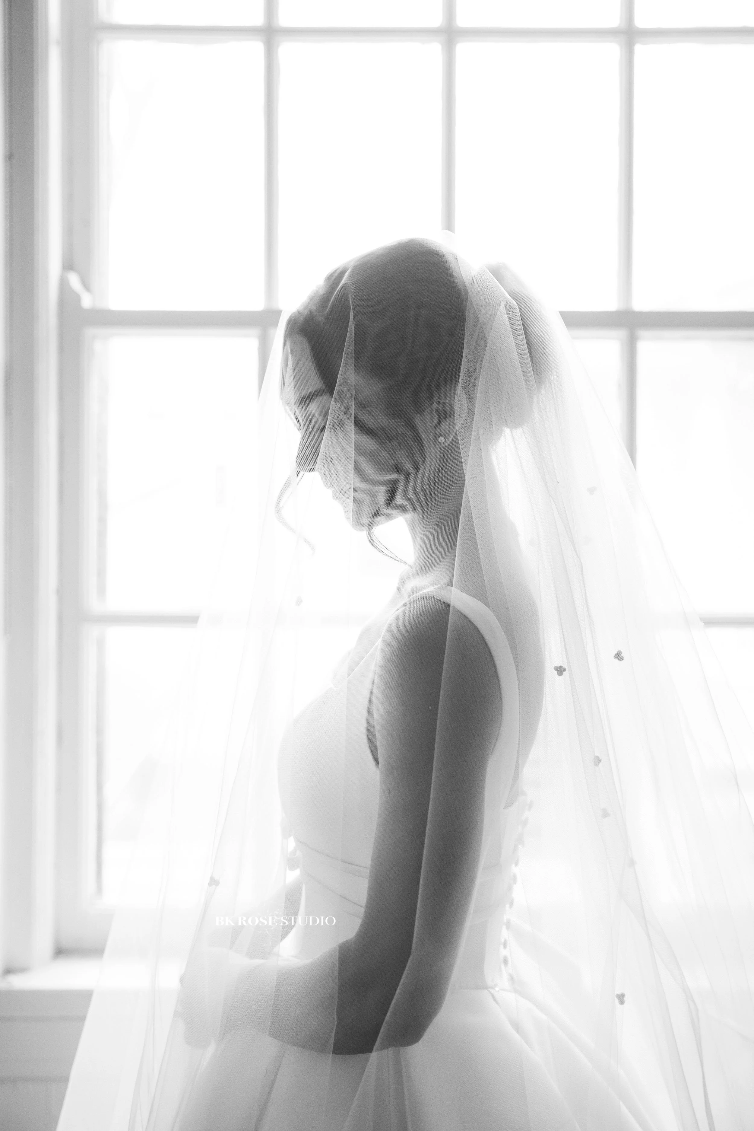 wedding-photographer-libertyville-illinois-bk-rose-studio118.jpg