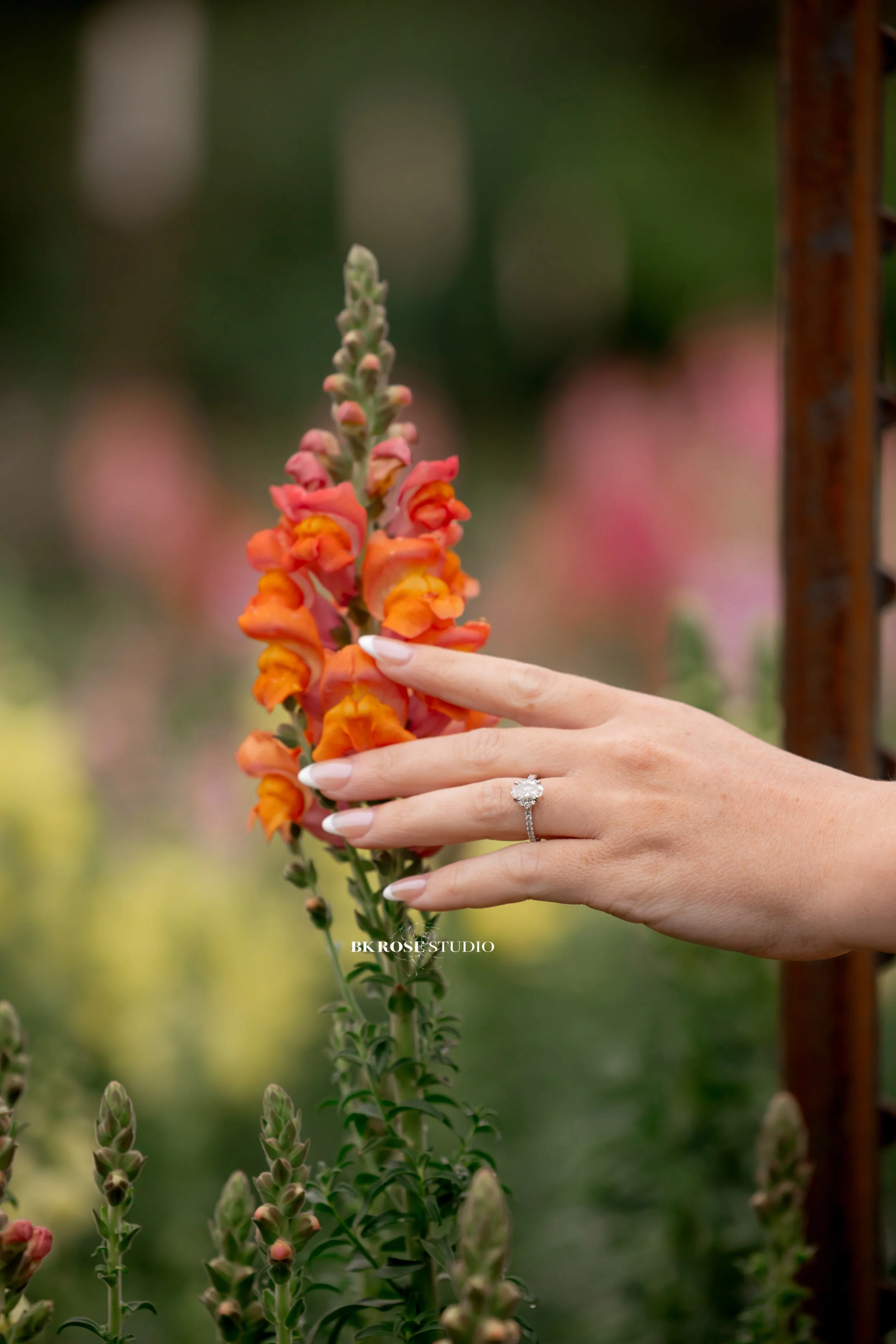 engagement-session-northwest-chicago-suburbs-1-32.jpg