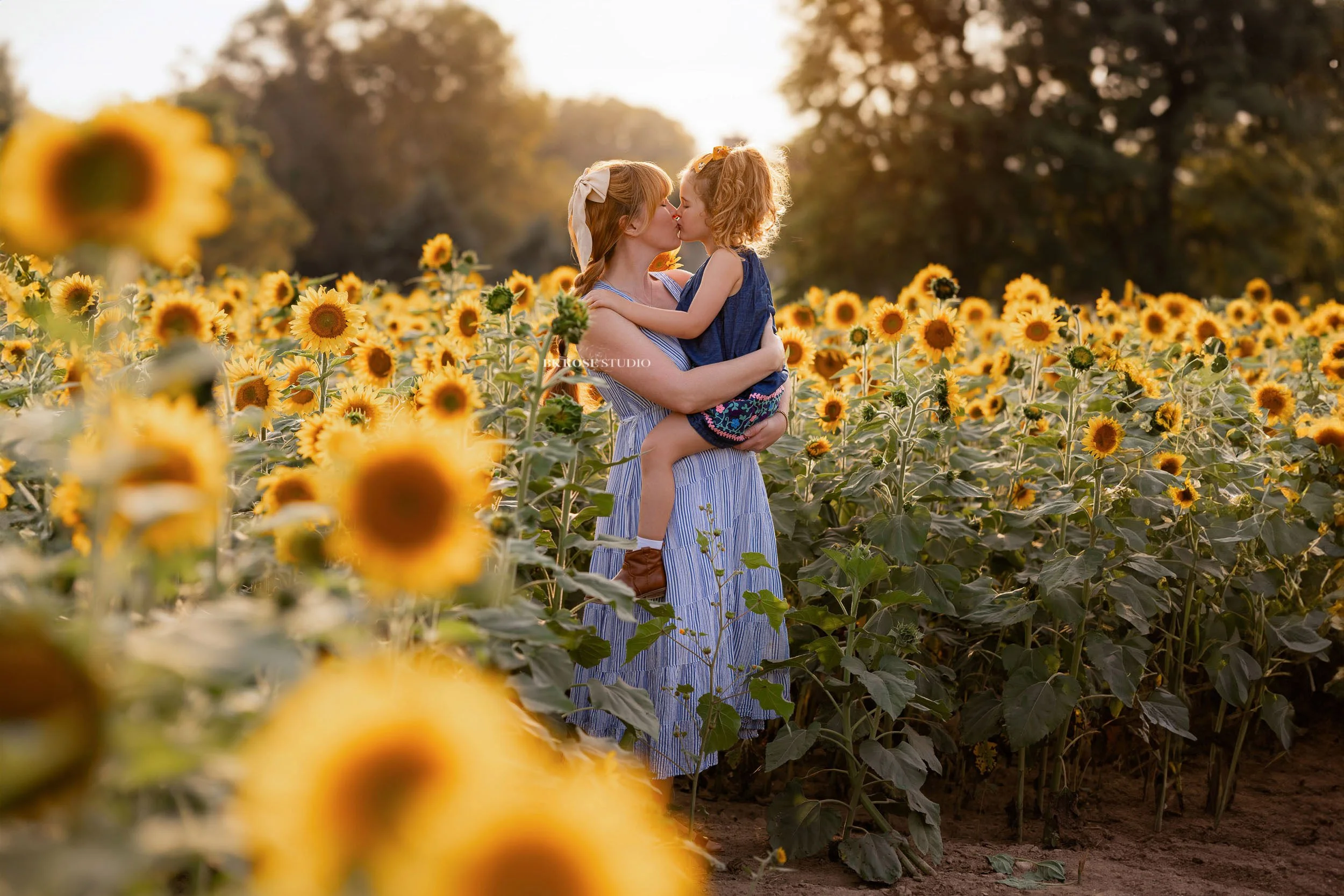 family-photographer-libertyville-illinois-bk-rose-studio-46.jpg