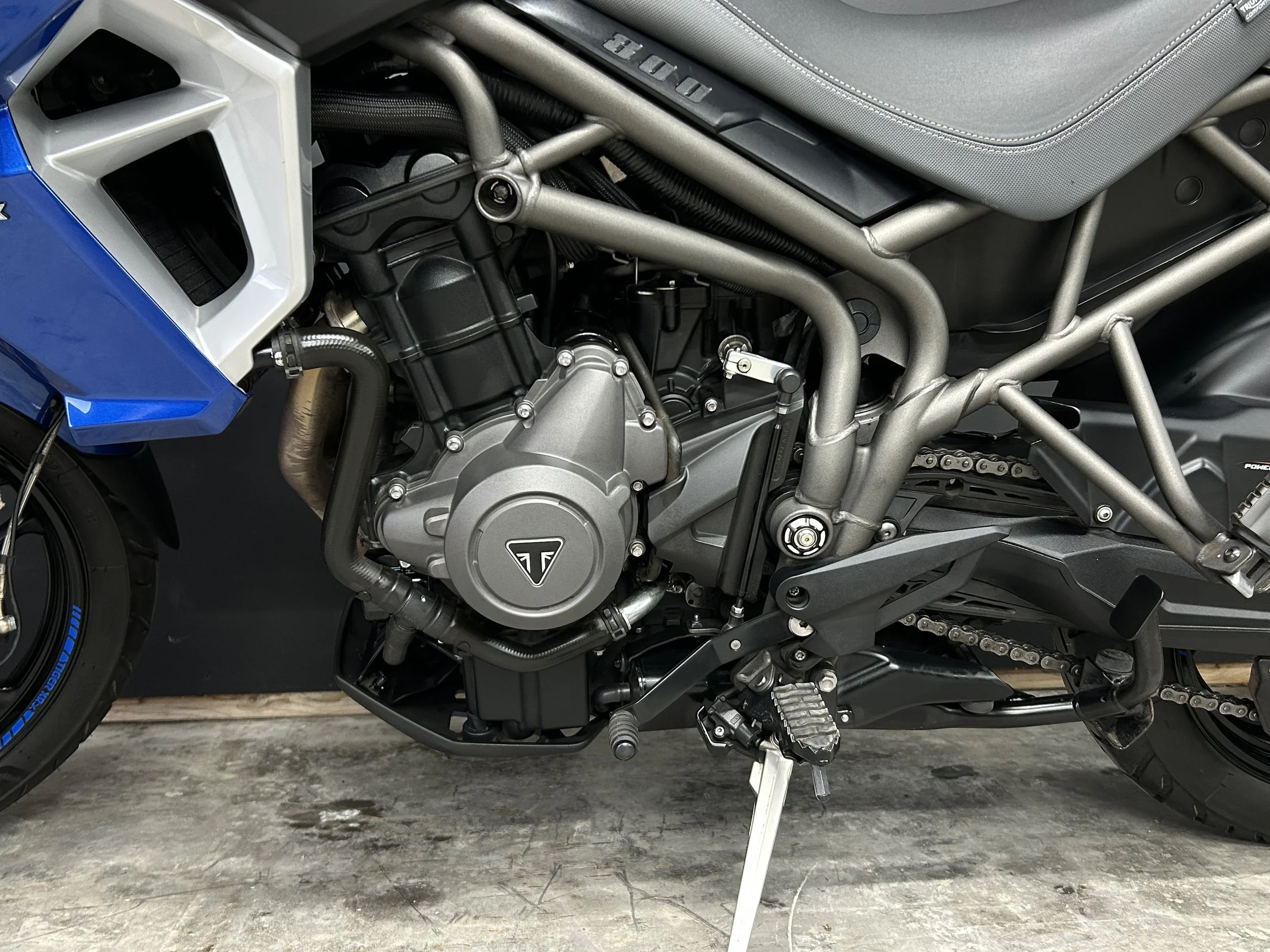 IMG_3786.jpeg