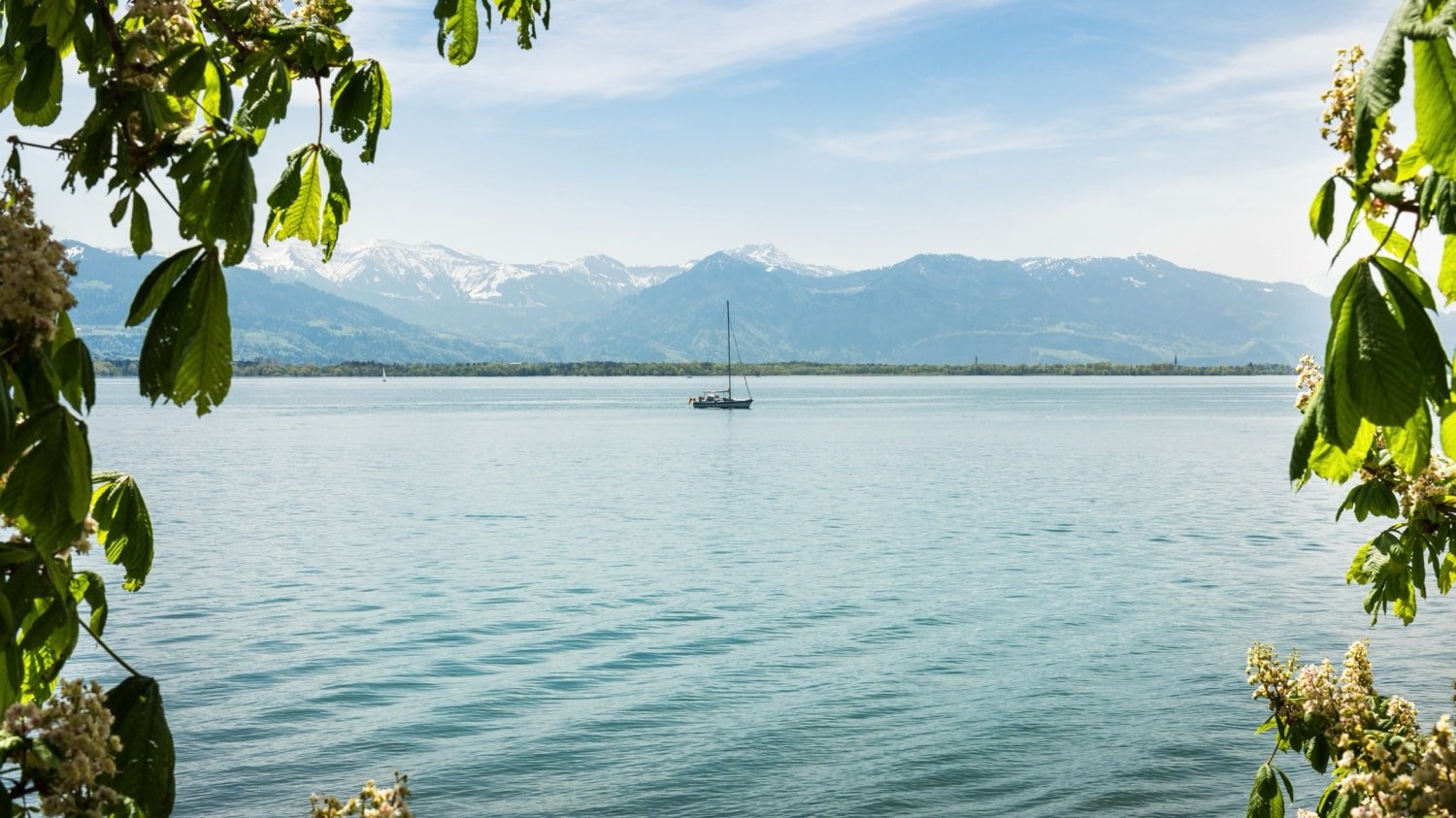Bodensee-2-WEB.jpg