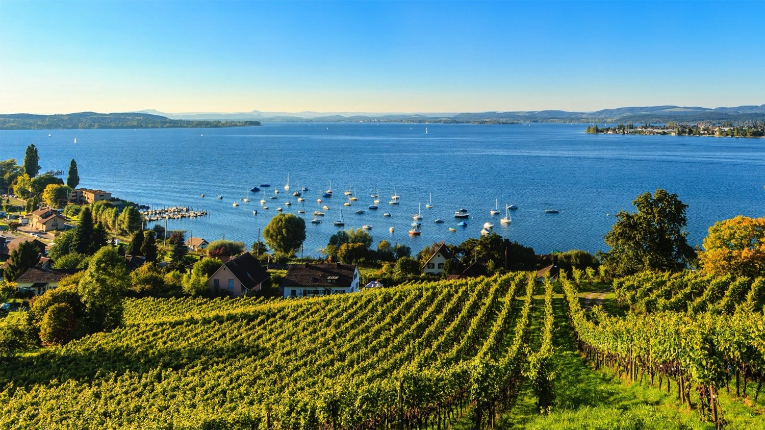 Bodensee-1-WEB.jpg