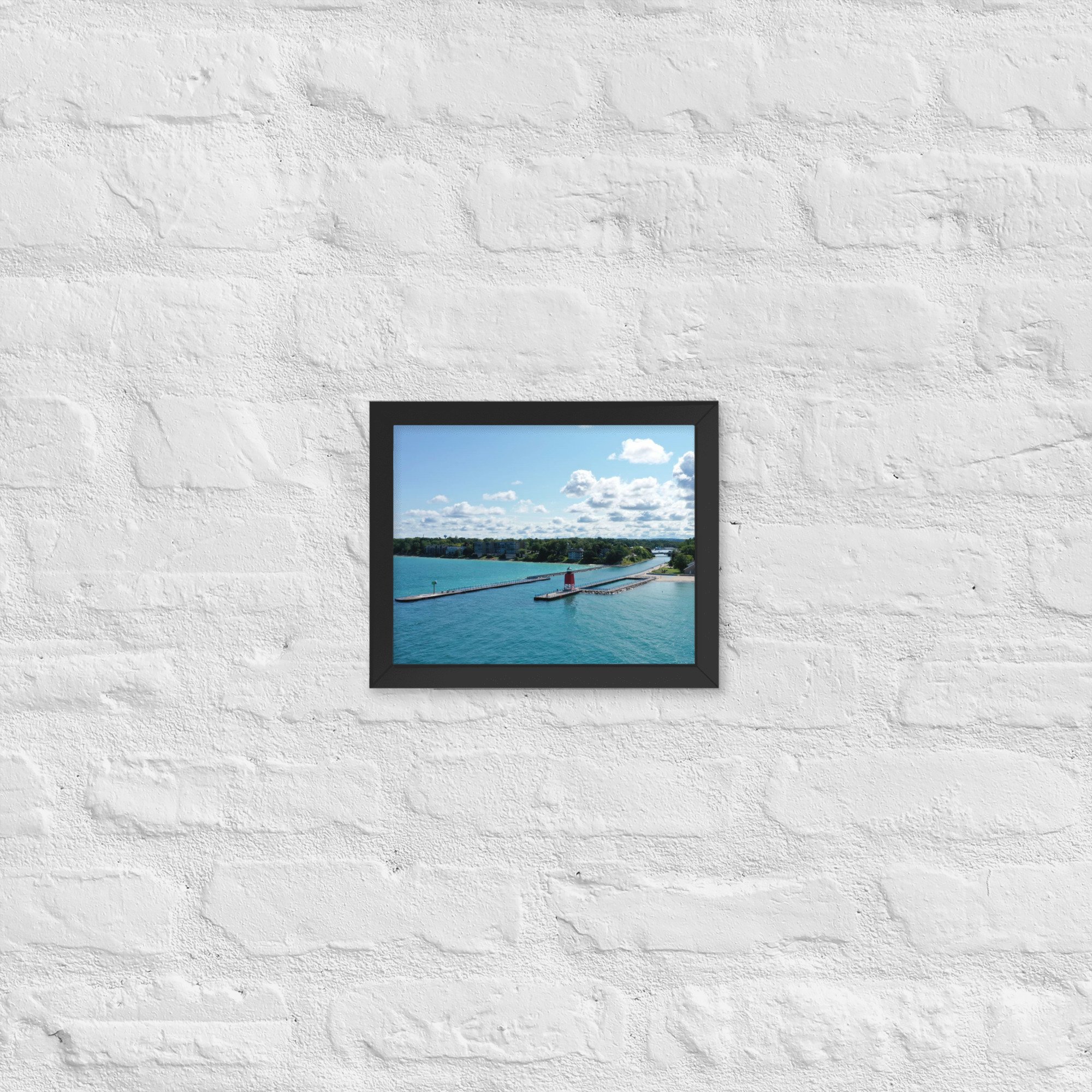 enhanced-matte-paper-framed-poster-(in)-black-8x10-front-63e0f87a15407.jpg