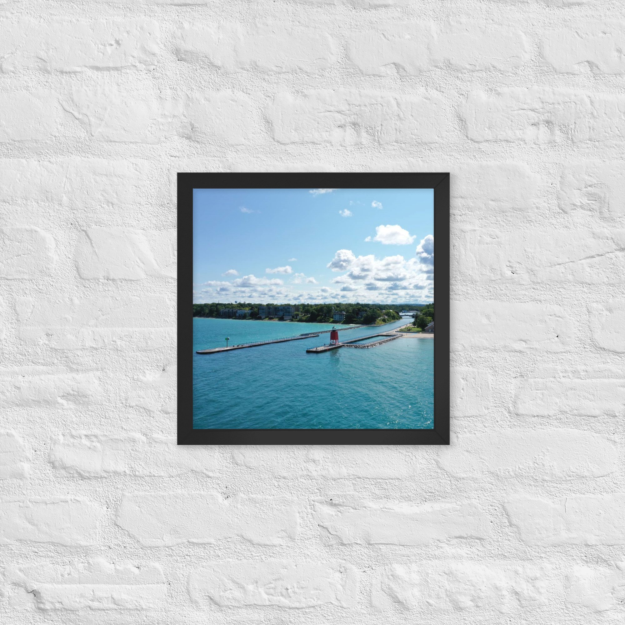 enhanced-matte-paper-framed-poster-(in)-black-14x14-front-63e0f87a1614a.jpg