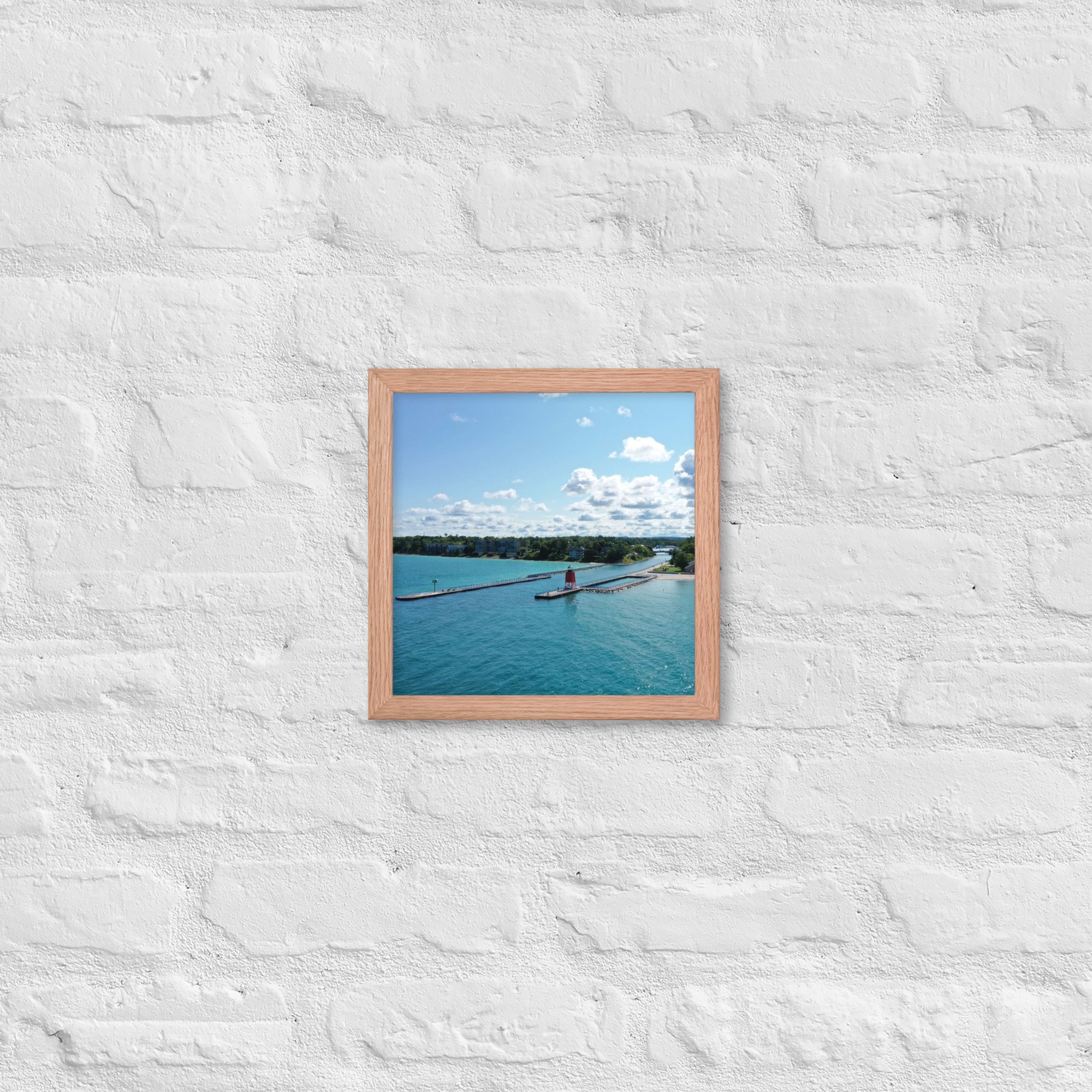 enhanced-matte-paper-framed-poster-(in)-red-oak-10x10-front-63e0f87a1647e.jpg