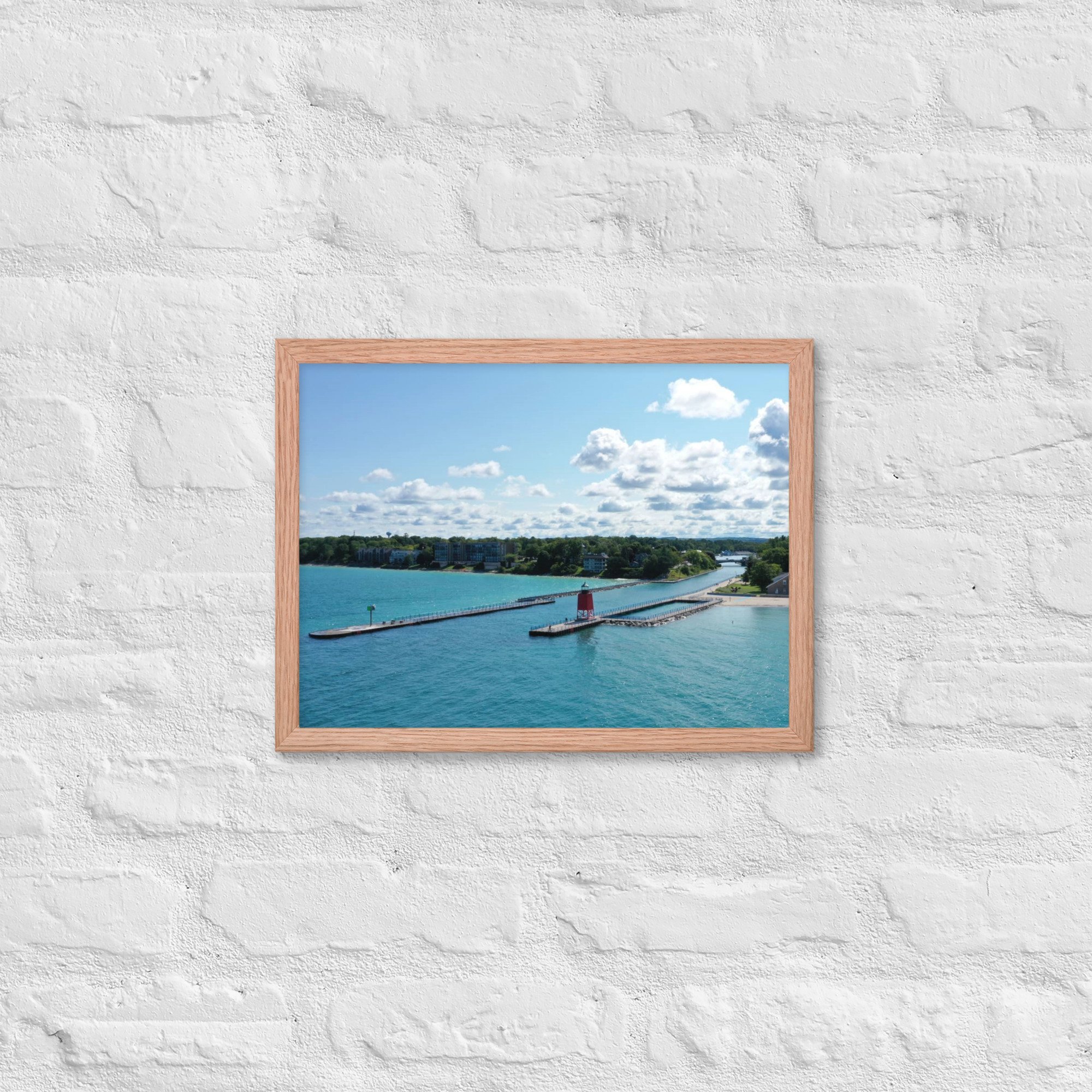 enhanced-matte-paper-framed-poster-(in)-red-oak-12x16-front-63e0f87a16617.jpg