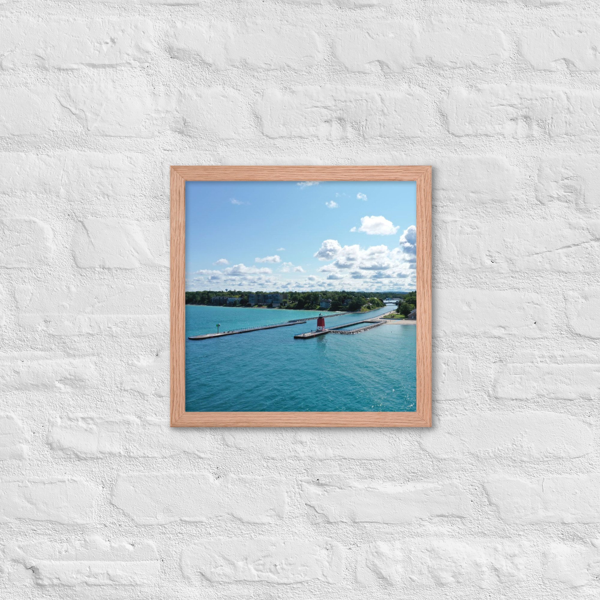 enhanced-matte-paper-framed-poster-(in)-red-oak-14x14-front-63e0f87a1672b.jpg