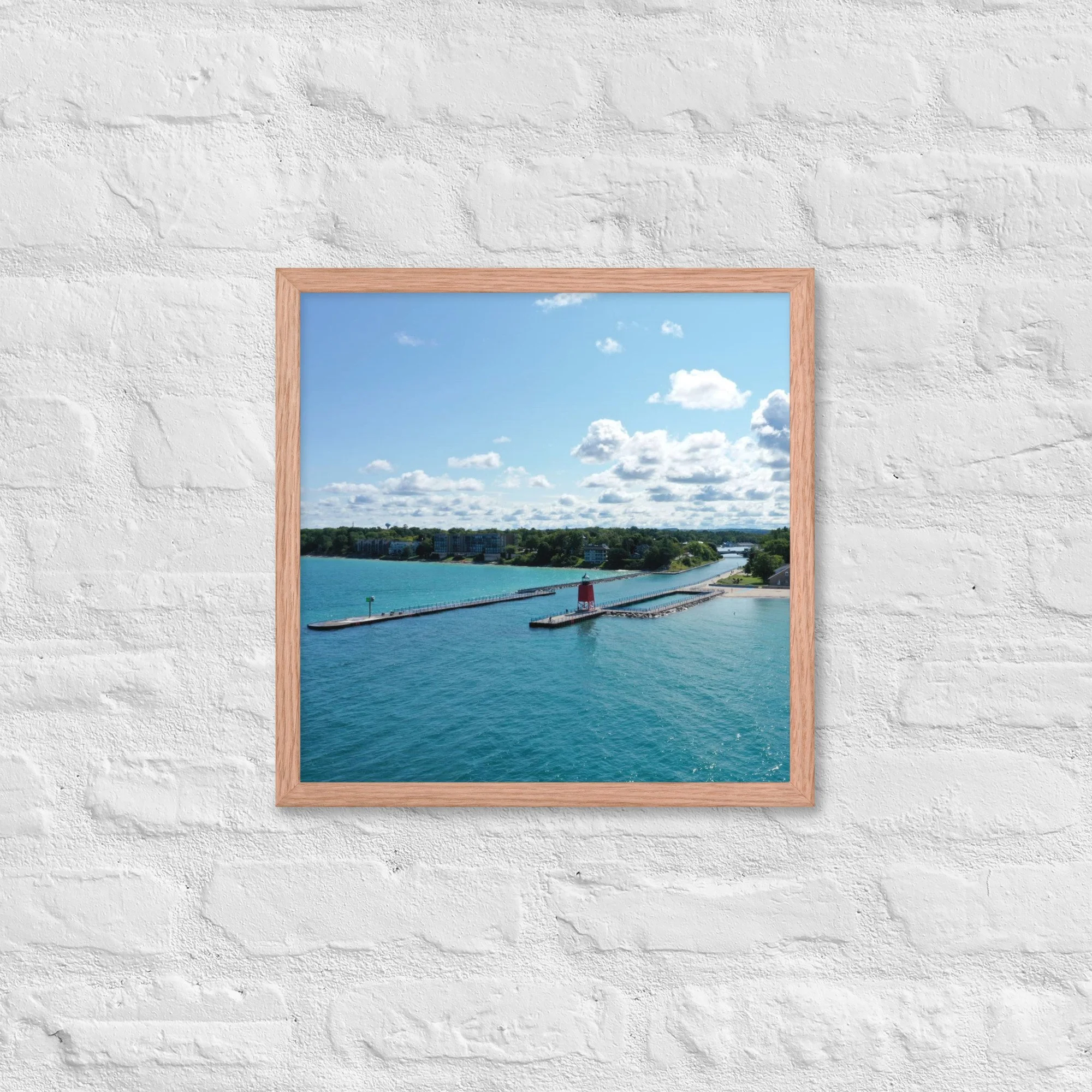 enhanced-matte-paper-framed-poster-(in)-red-oak-16x16-front-63e0f87a167b9.jpg