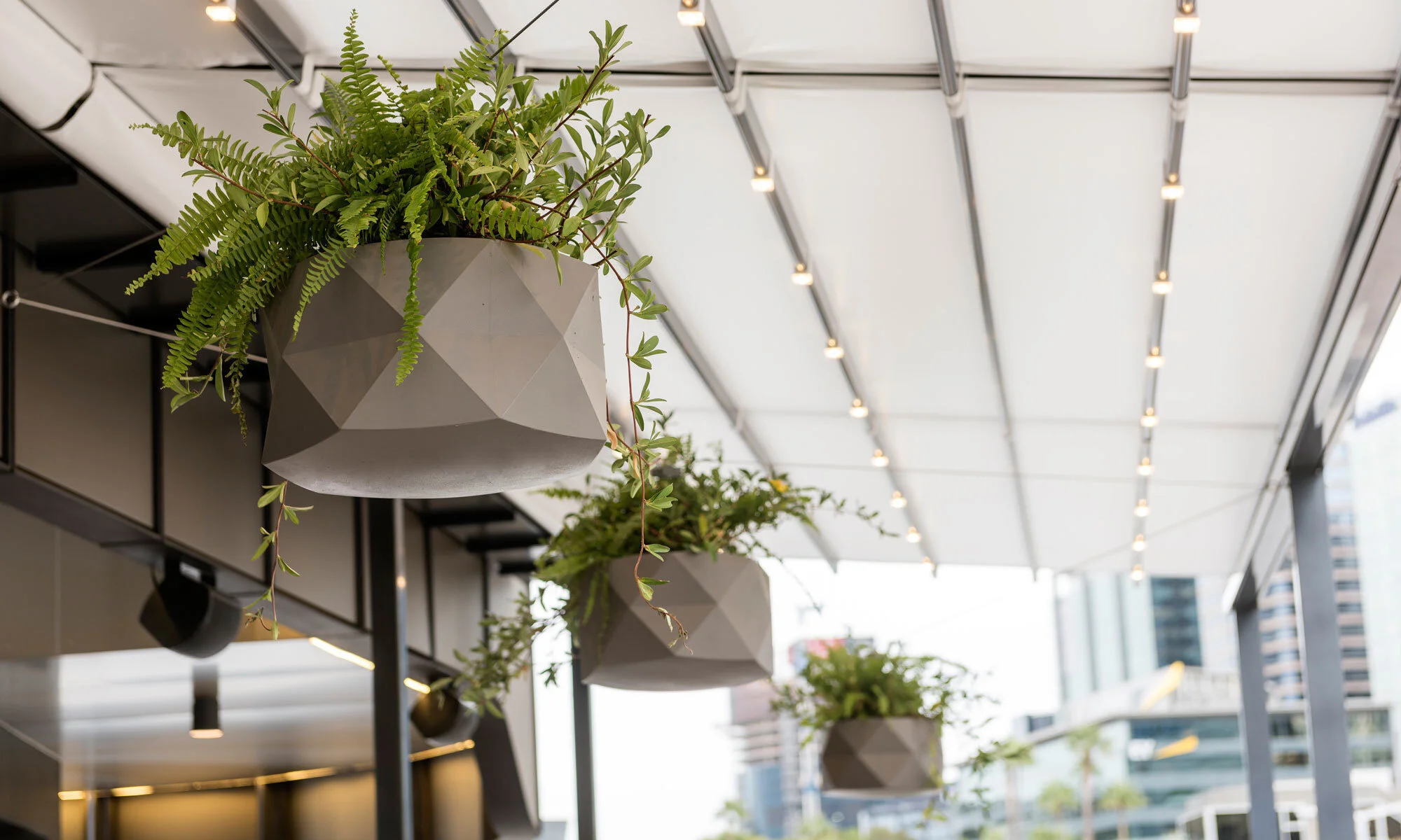 MARQUIS hanging planter