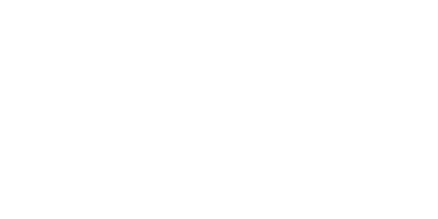 NOVA ORCHESTER WIEN (NOW!)