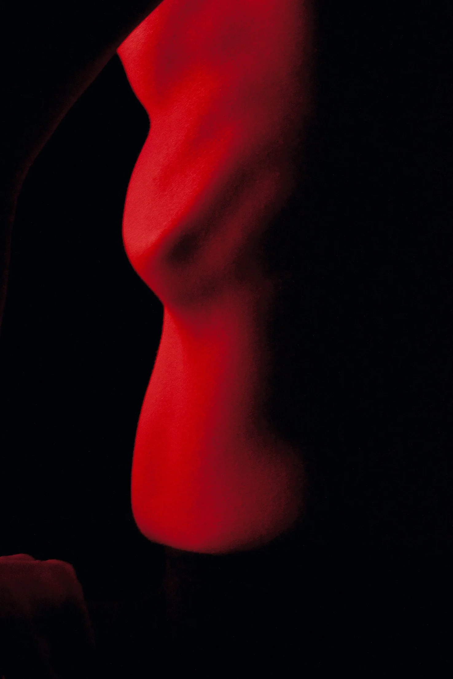 Abstract photograph of a female ribcage forming geometric shadows through sculptural lighting from the series MISShapes by Beatriz Perez.