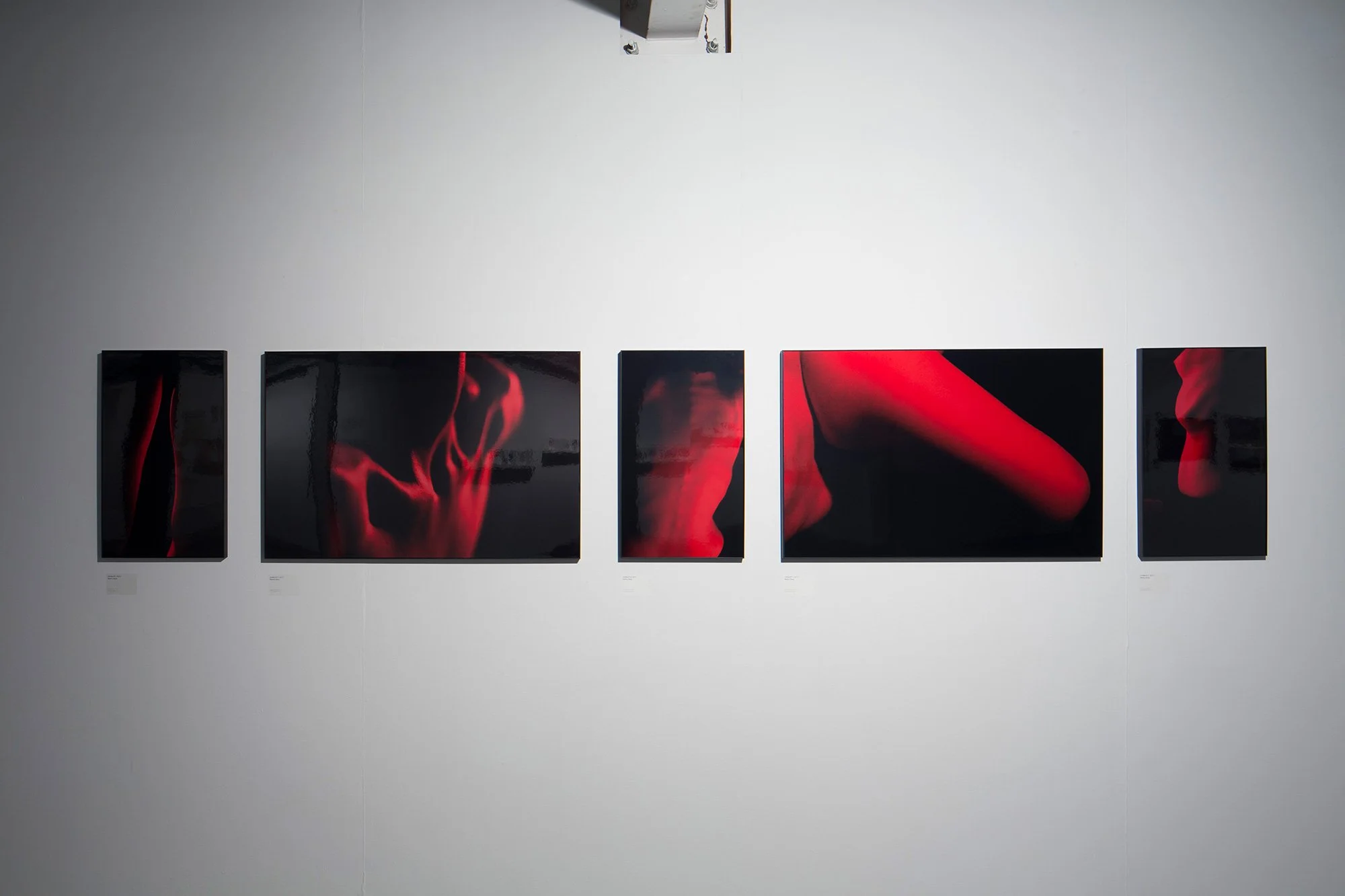 MISShapes fine art photography installation at MAPS Degree Show, Ambika P3, University of Westminster, London