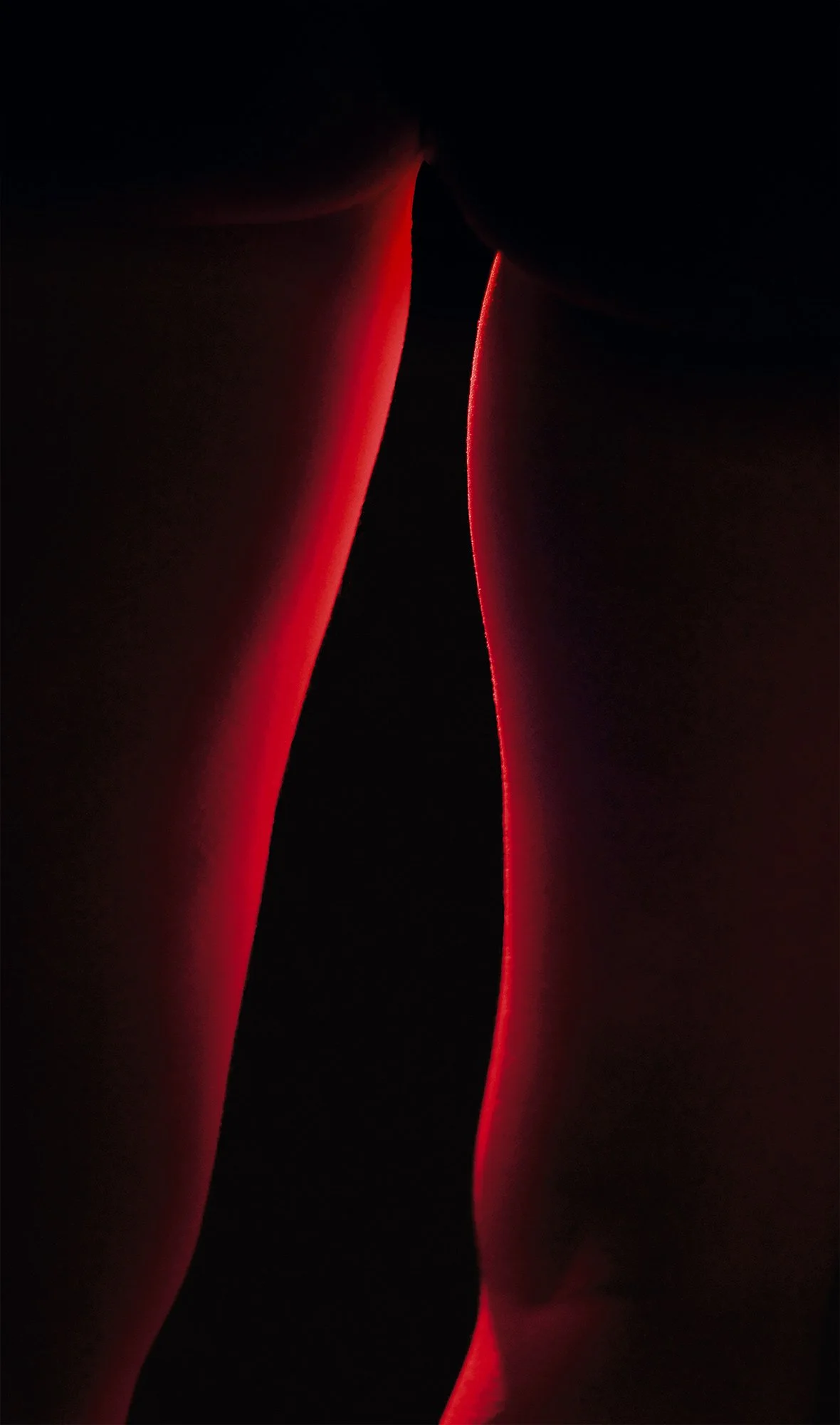 Red-toned legs in a sculptural composition against a dark background, MISShapes