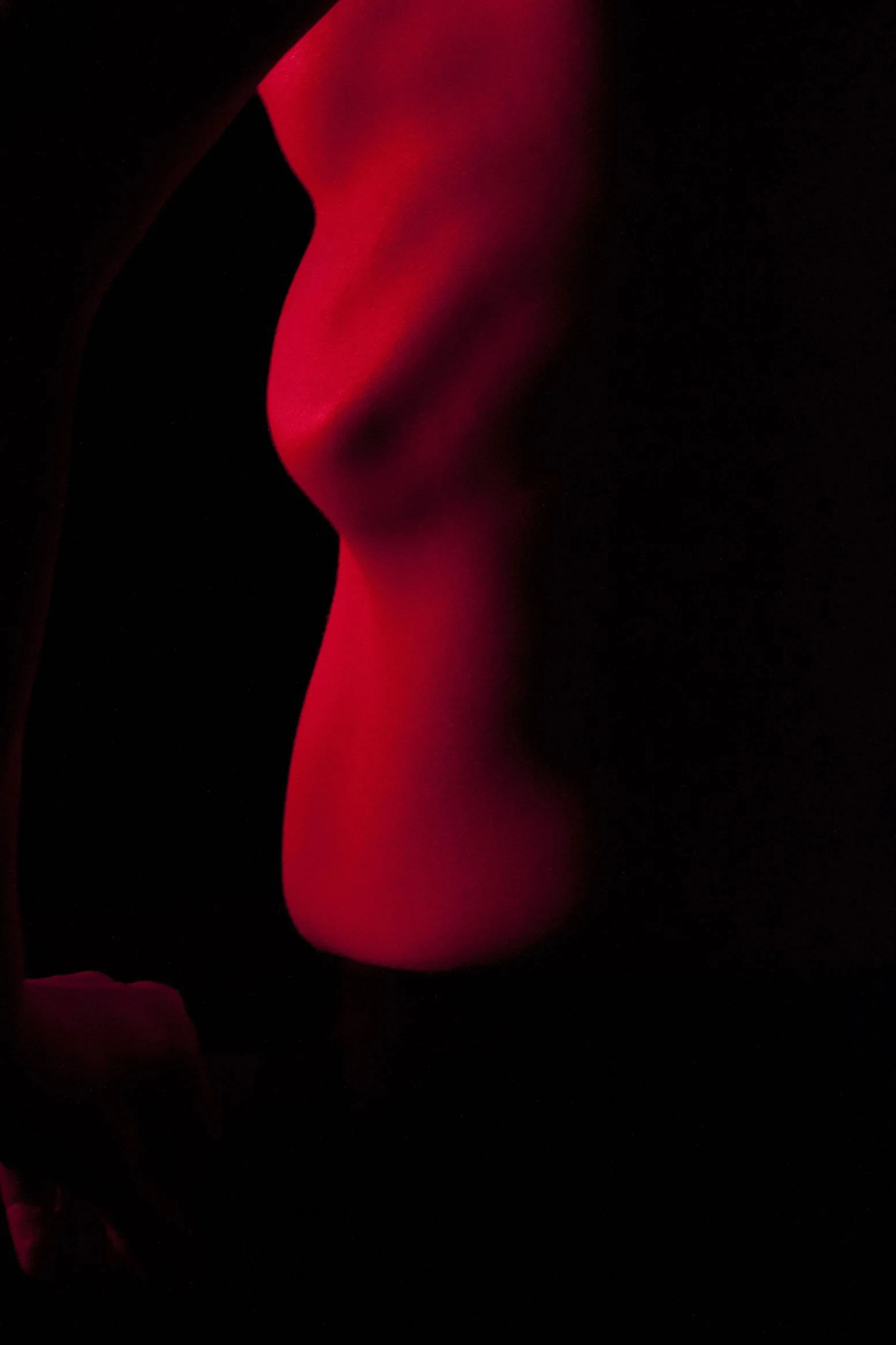 Abstract photograph of a female ribcage forming geometric shadows through sculptural lighting from the series MISShapes by Beatriz Perez.