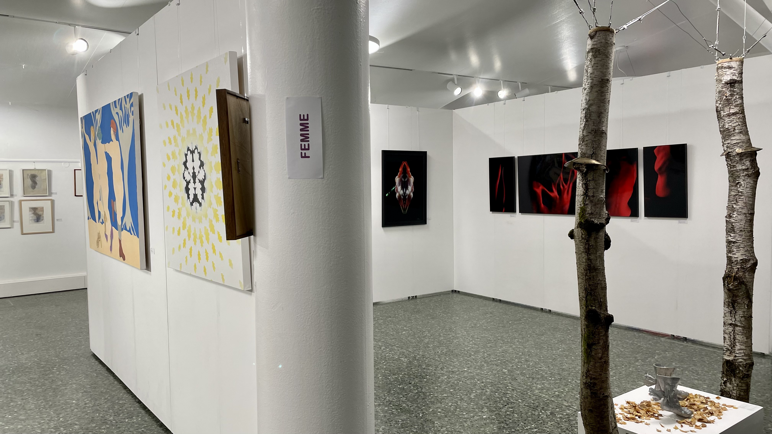 Installation view of Branches exhibition at The Art Pavilion, London, featuring contemporary ecofeminist photography and multidisciplinary works