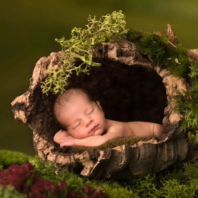 nature-baby-photo.jpg