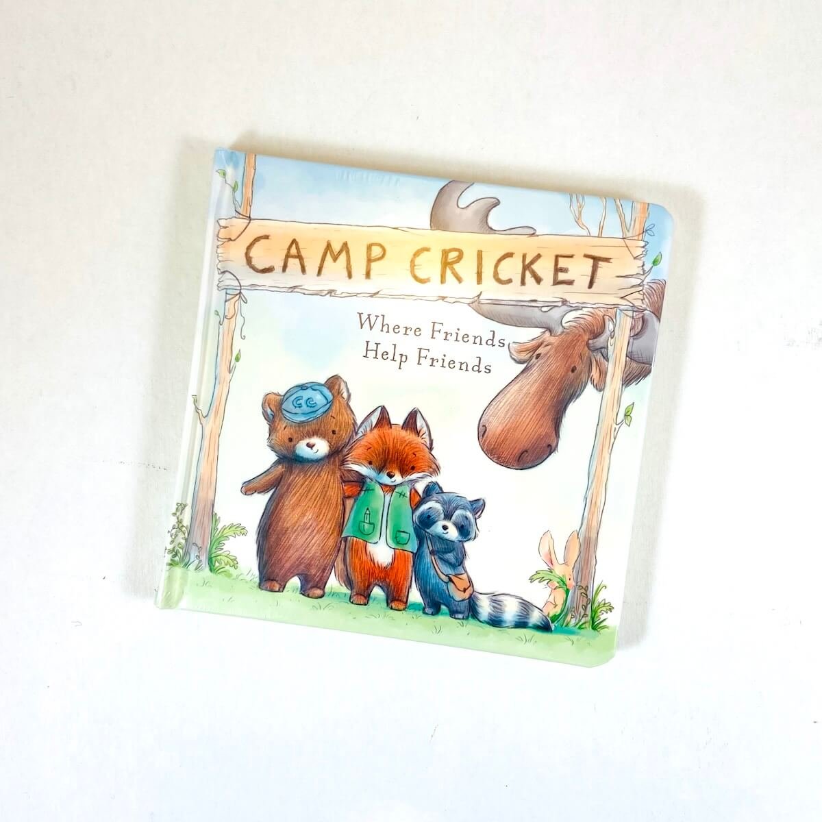 camp-cricket-book.jpg