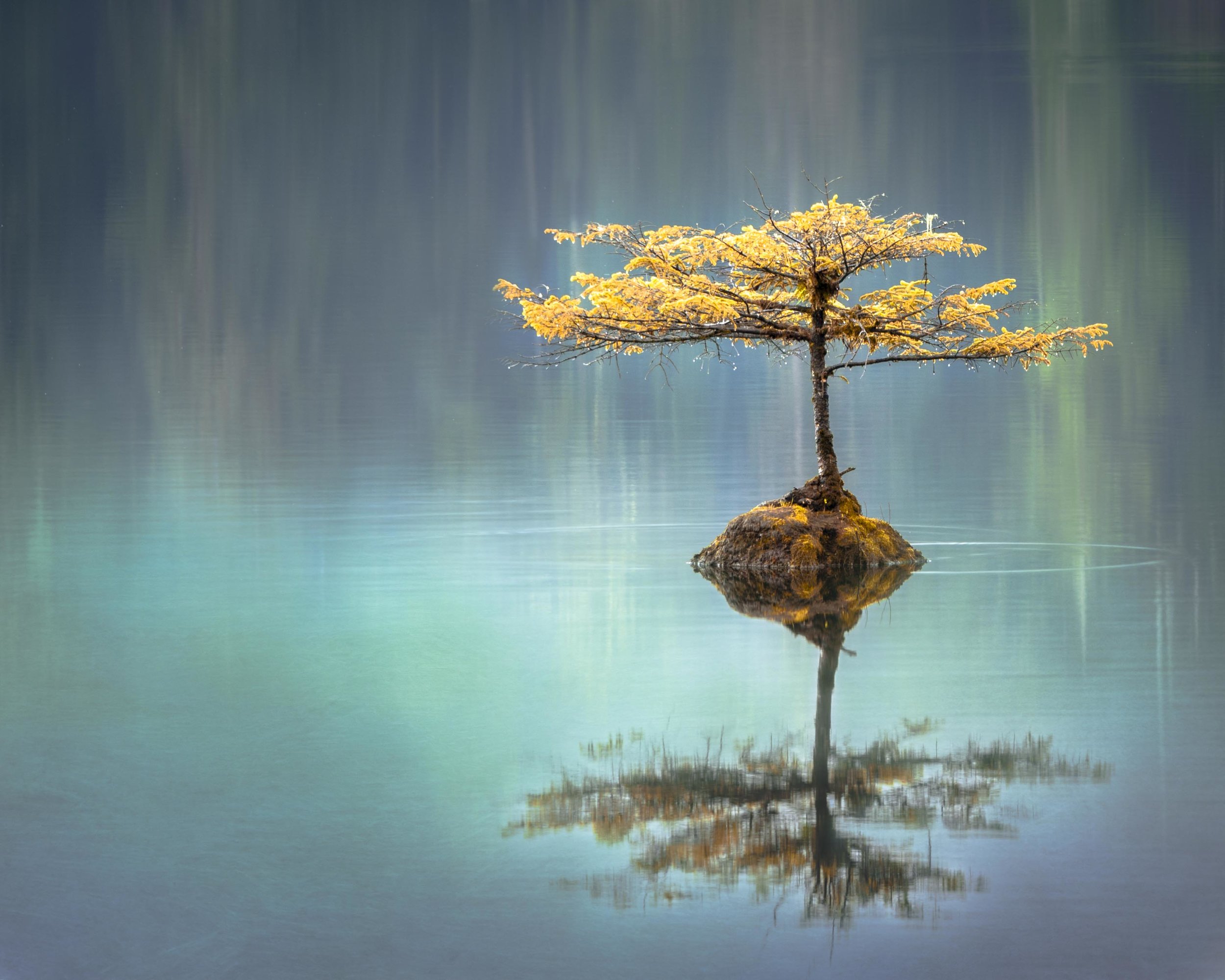 Meditation for a challenging day.