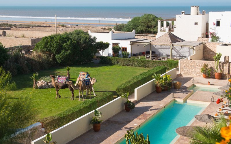 ribali riads pool gardens beach.jpeg