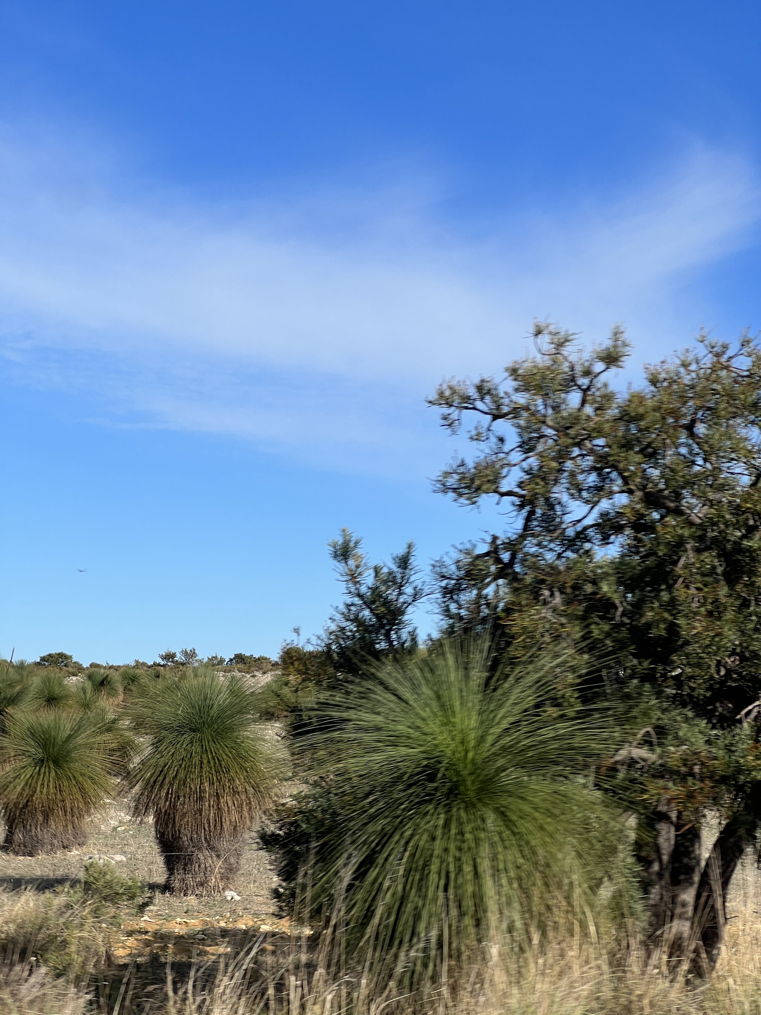 Scenery just north of Perth