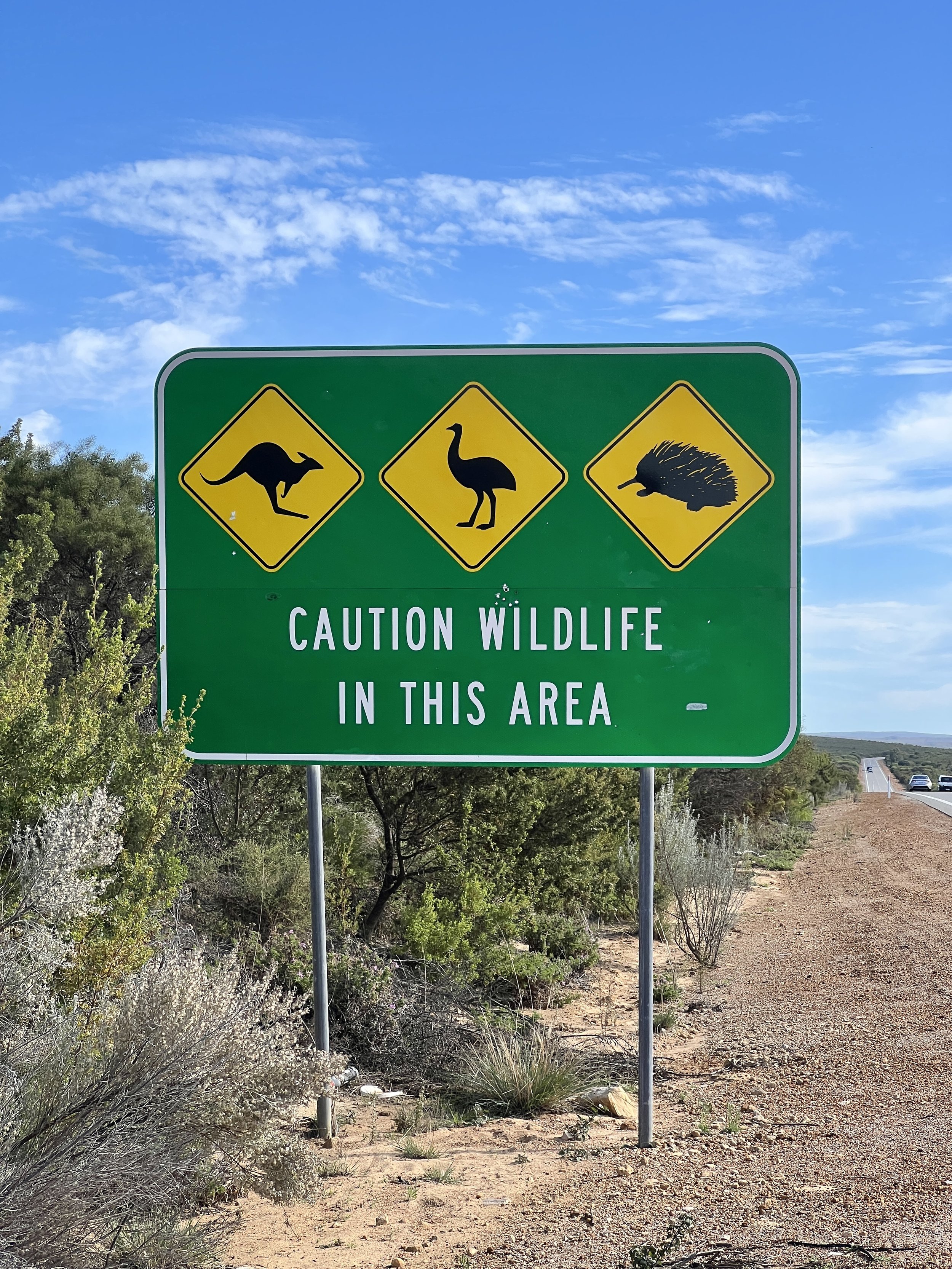 Road signs - kangaroo, emu and echidna
