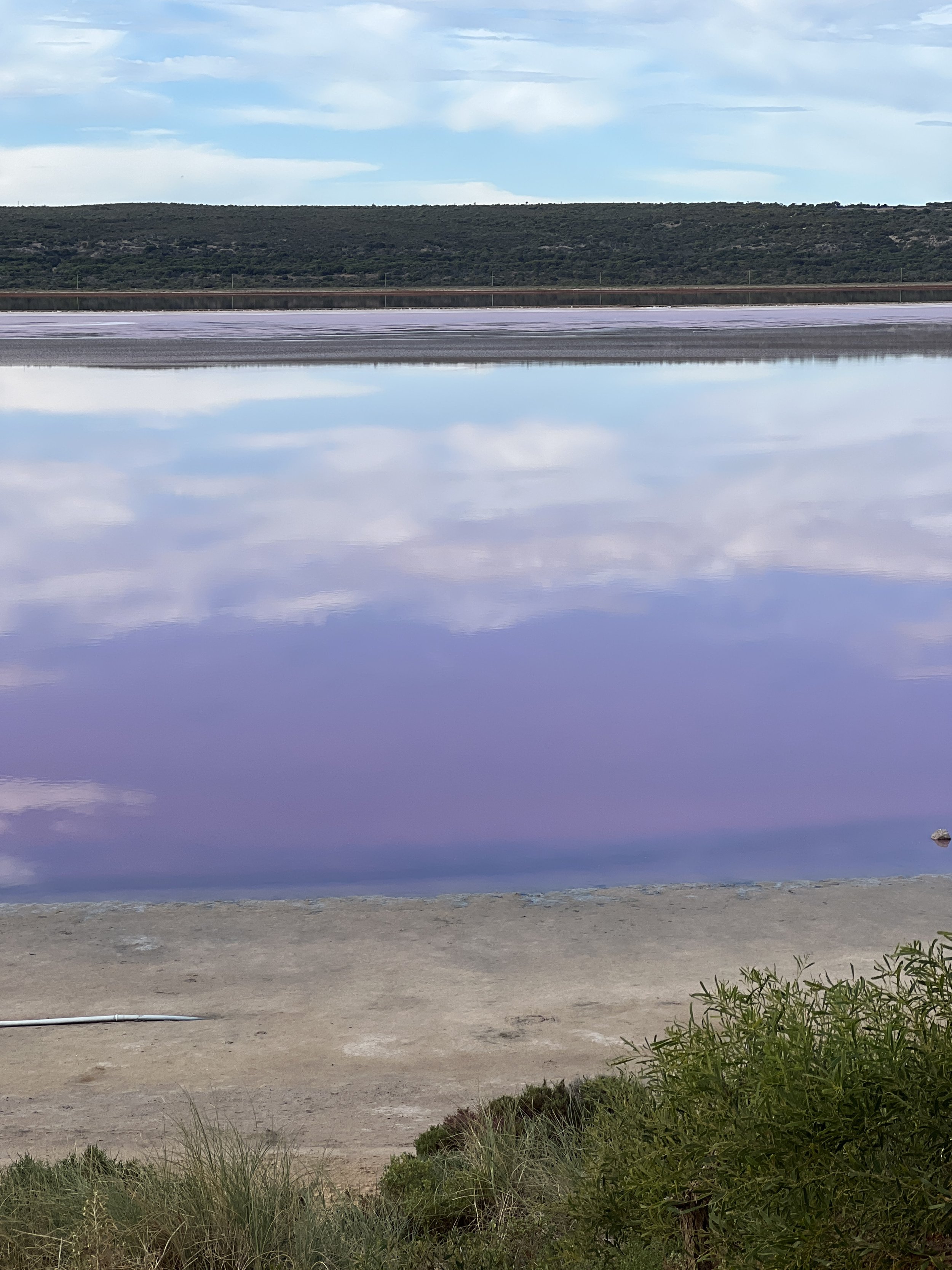 Hutt Lagoon - Pink Lake!