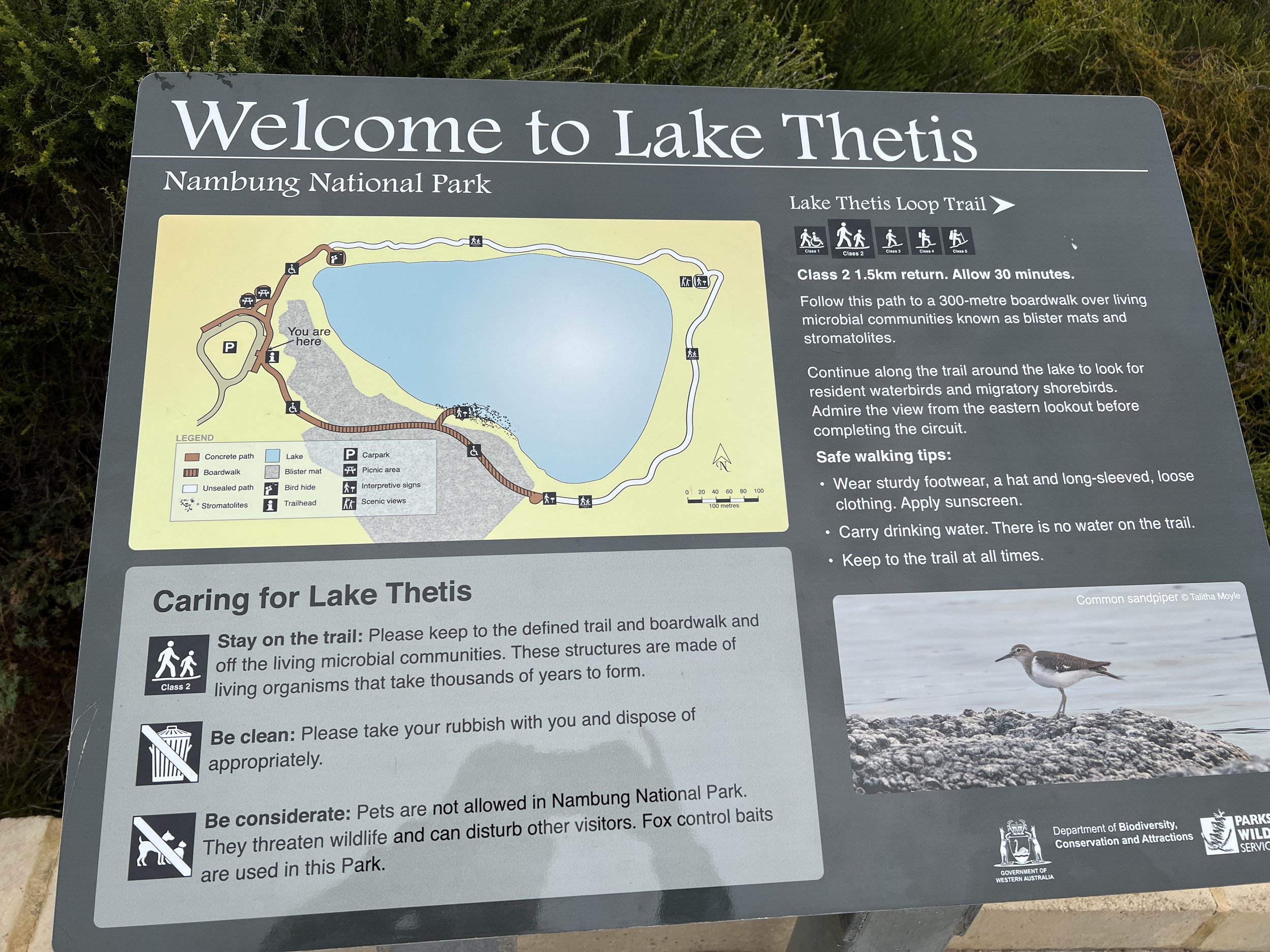 Lake Theta info