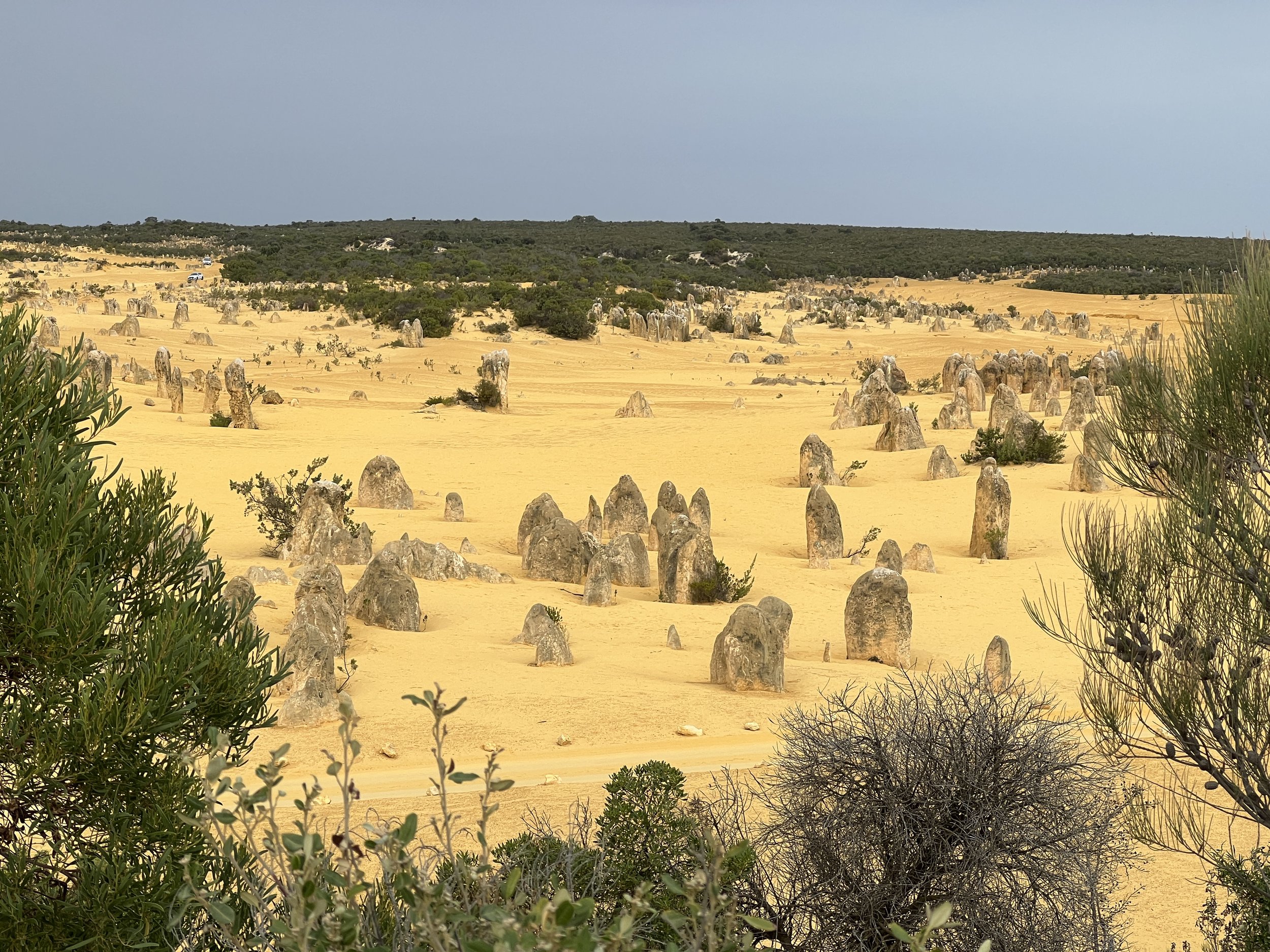 The Pinnacles are limestone formations in the desert