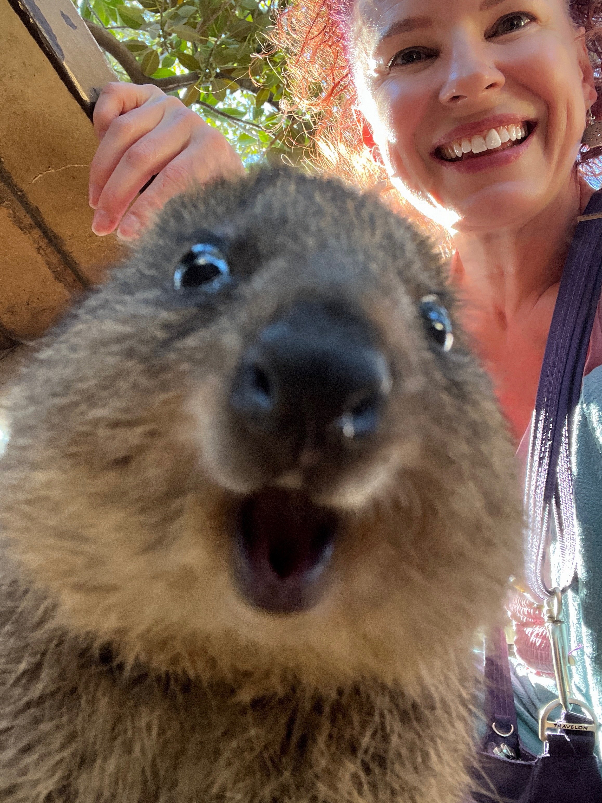 Quokka is so happy to see you!