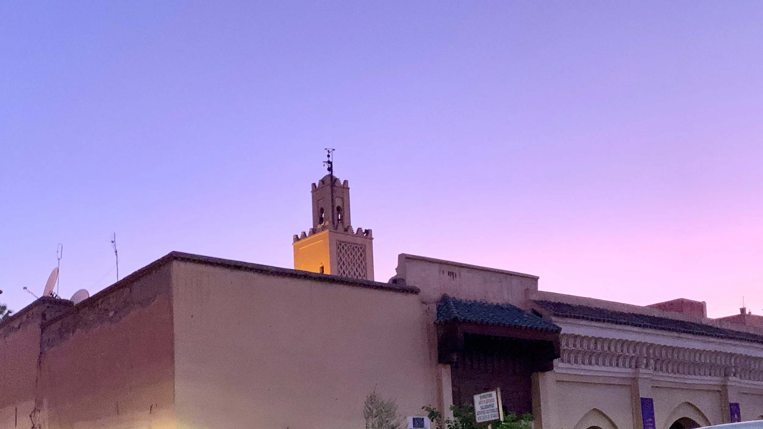 IMG_2480.jpeg