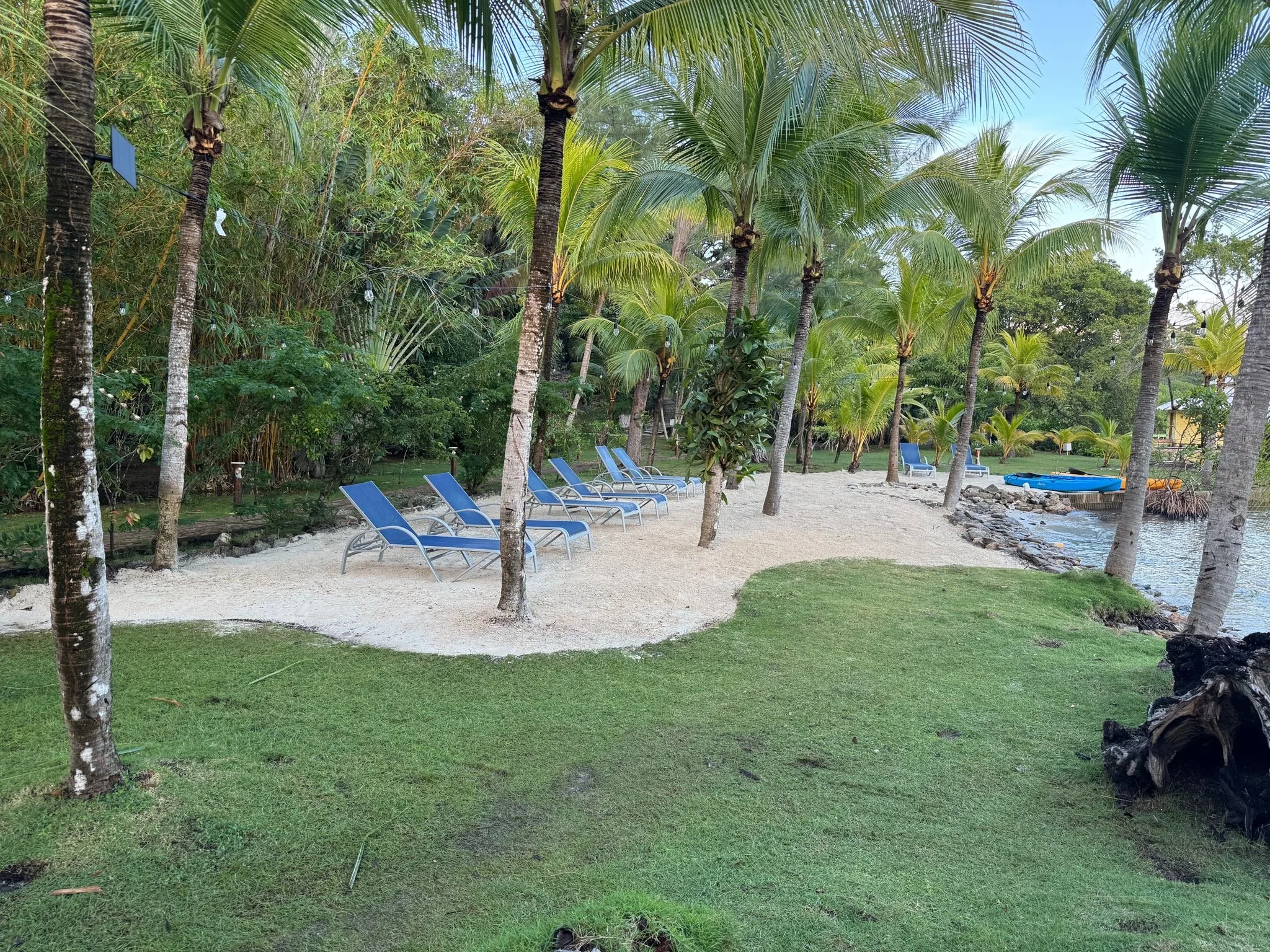 Beach and palm trees on retreat in Roatan.JPG