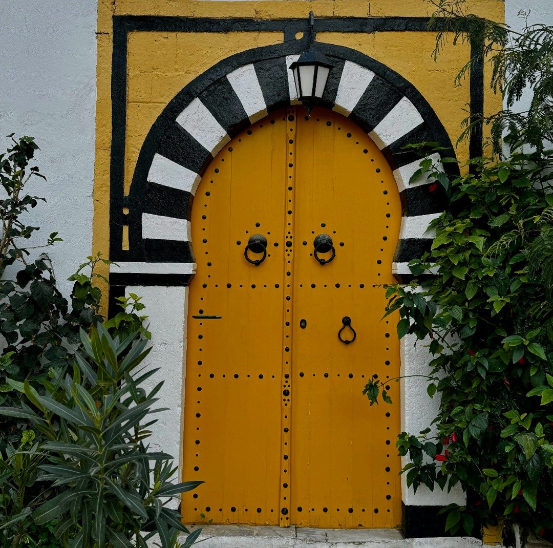 Loved Morocco's medinas? Tunisia's ancient cities offer equally stunning architecture with a distinctive Mediterranean flair. Experience North Africa's hidden treasure. May 2026 retreat filling fast.