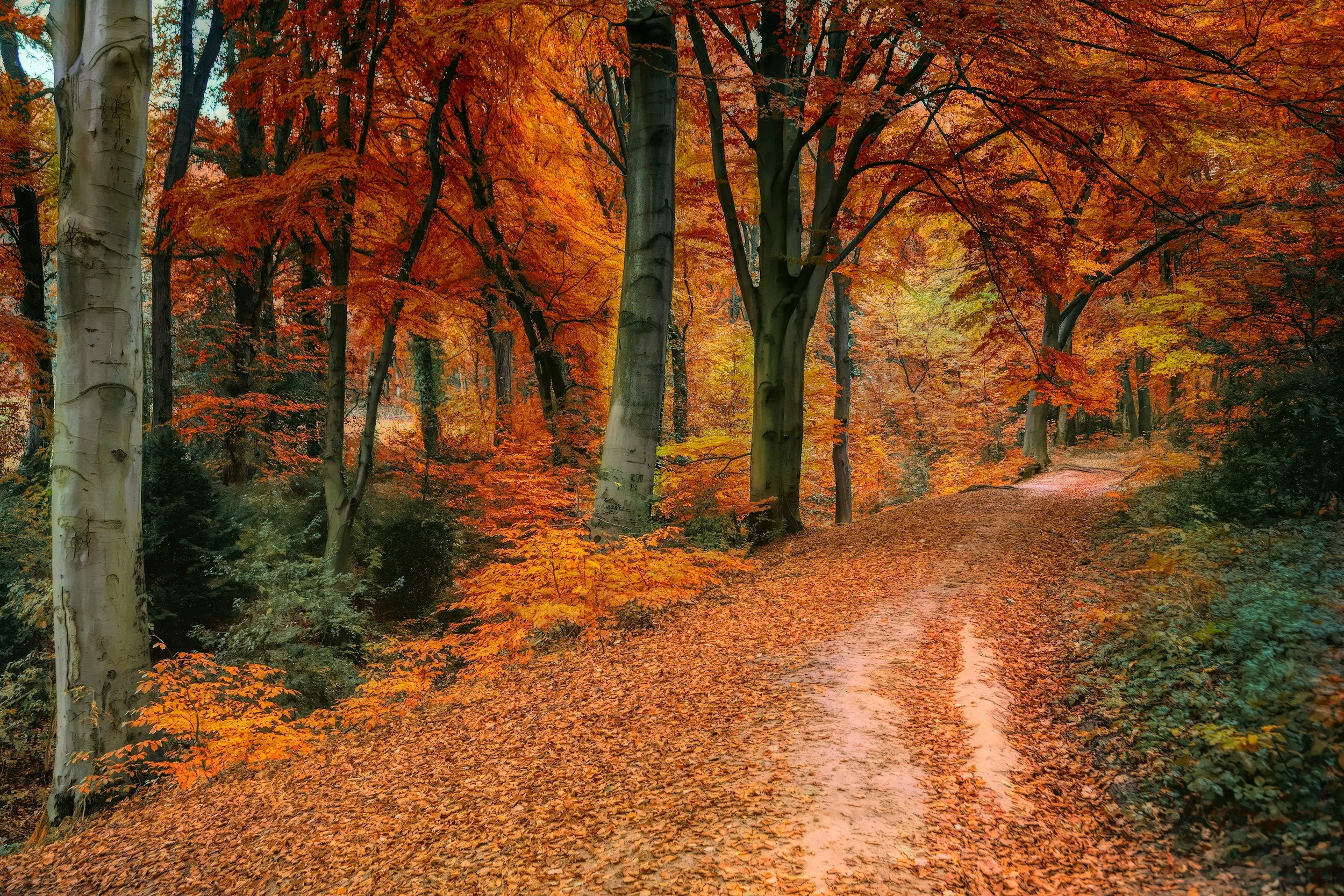 Preparing For A Fantastic Fall
