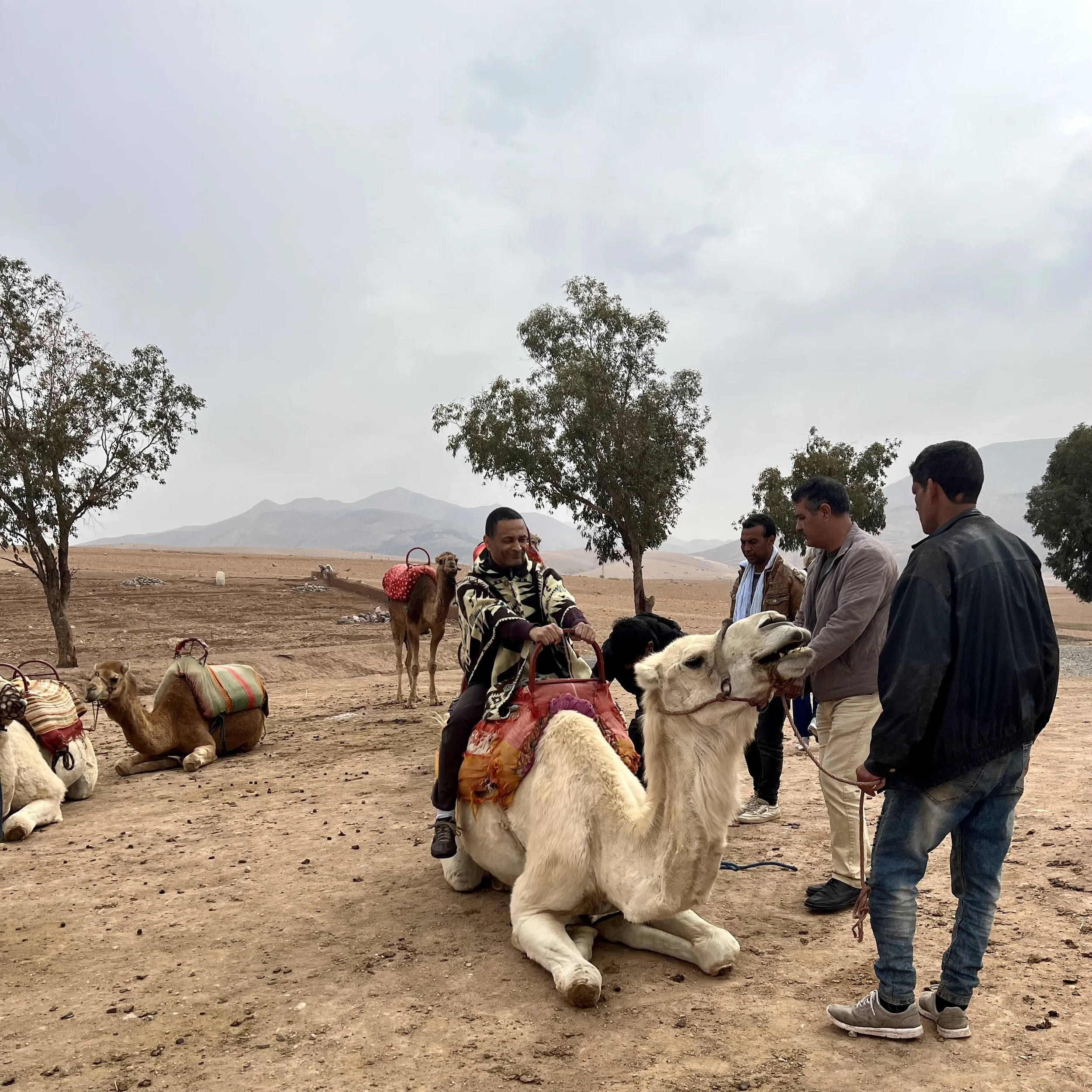 Culture and yoga retreat in Morocco with Samira