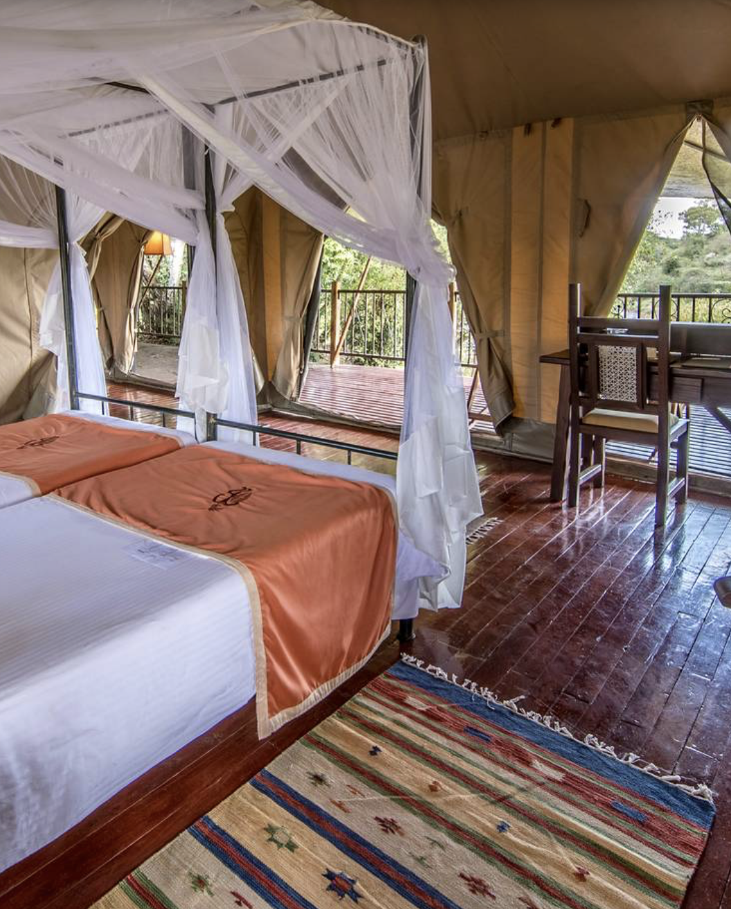 luxury tents on wellness safari.png
