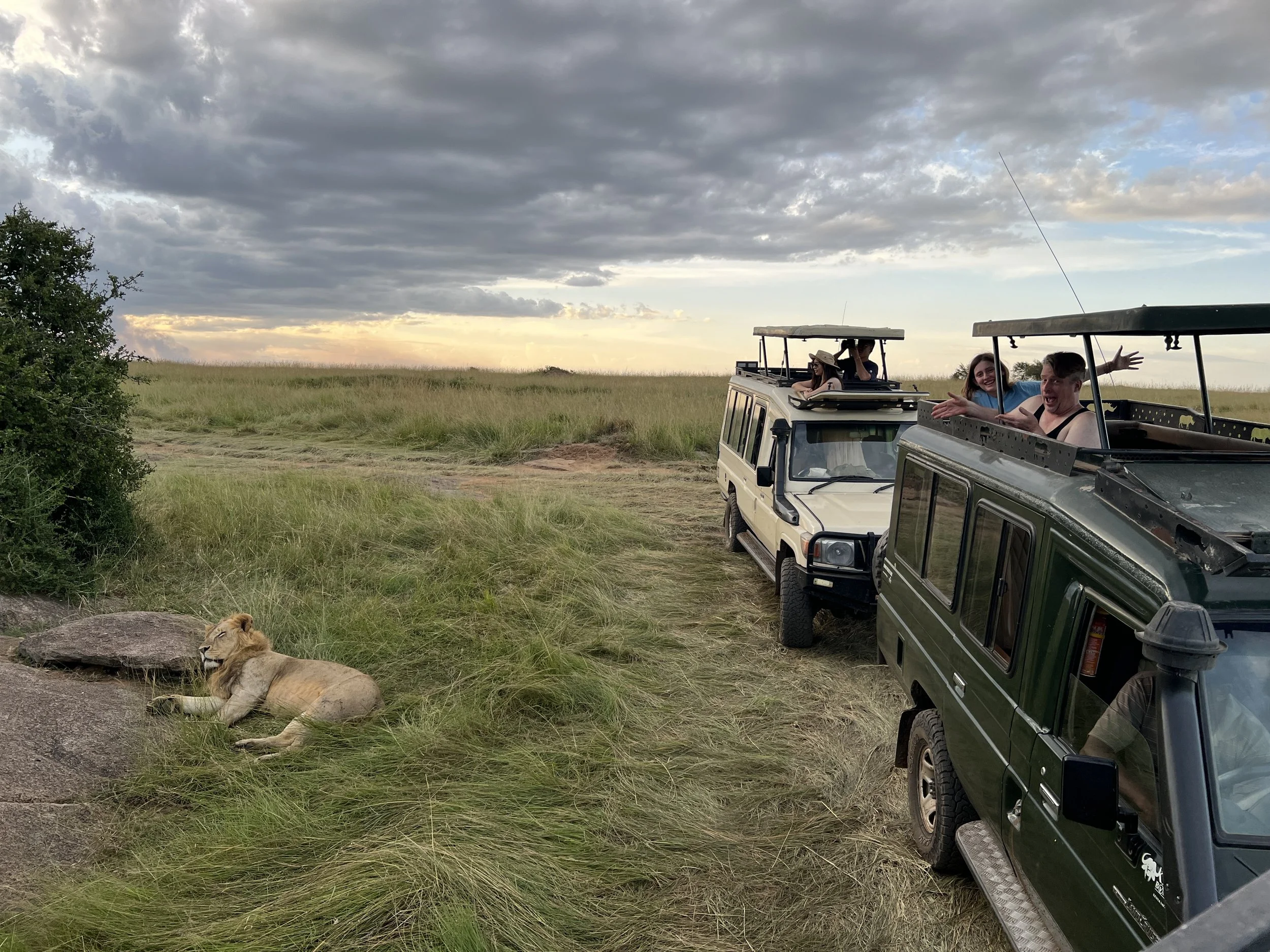 On Safari with Samira Shuruk