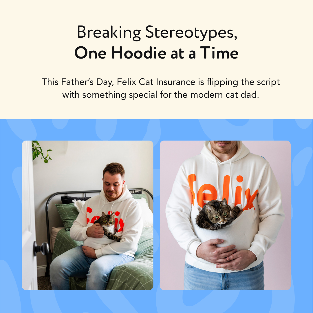 imgi_85_Cat+Dad+Hoodies+Father's+Day_Insta_4_1080x1080.png