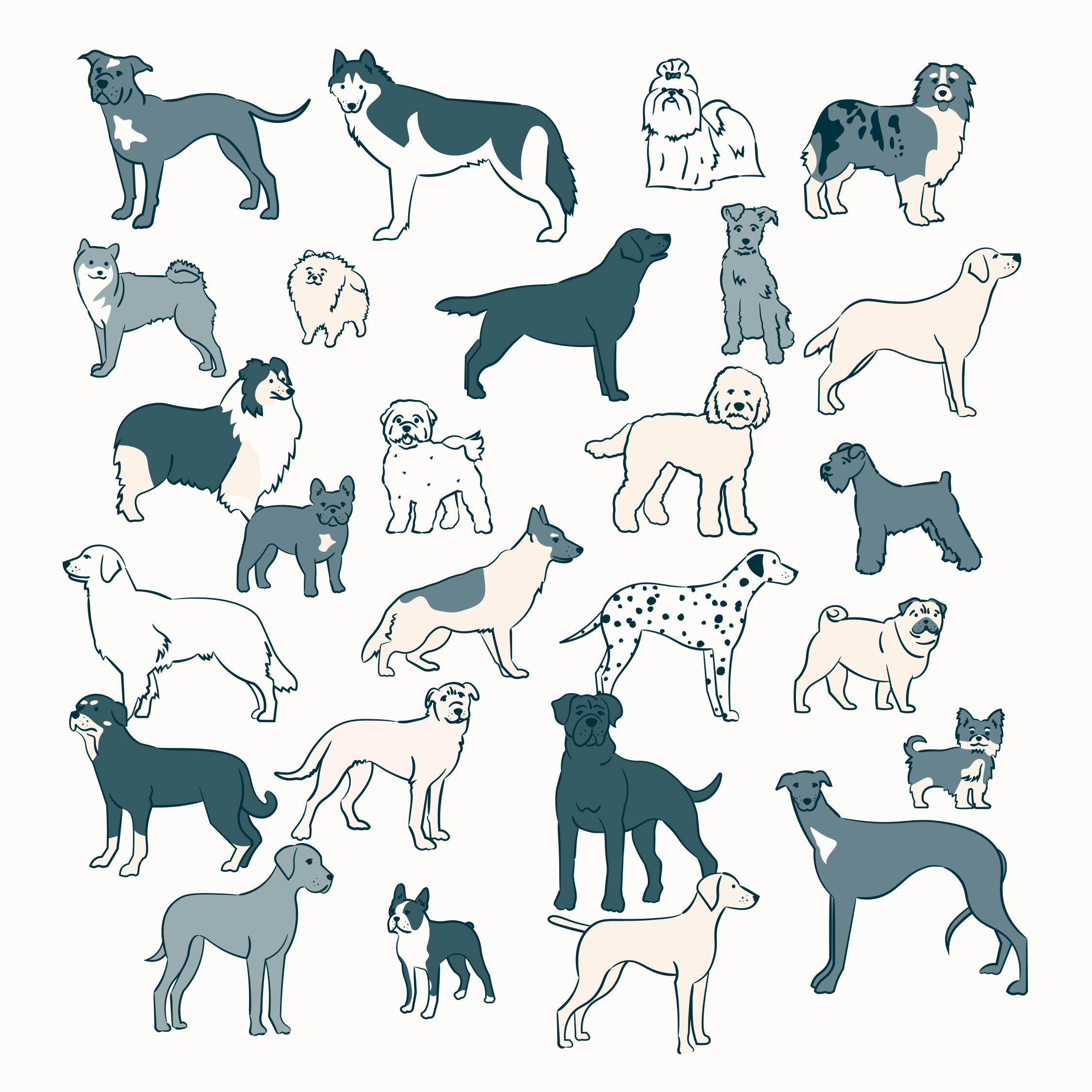  Blog Series    The Good, the Bad, and the Ugly Breed Guides   
Figo's breed guide series offers a humorous look at the personalities, common health concerns, and histories of some of the most popular dog breeds. To complement the series, we created 