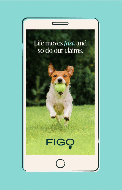 Whimsical Design & Illustration for Figo Pet Insurance (Design)(Ads)(Campaigns)(Blogsocial)(Web)