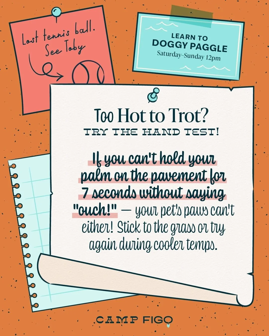 Camp Figo_Heat Safety 101_3.jpeg