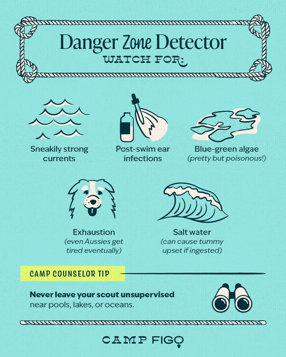 Camp Figo_Water Safety 101_4.jpeg