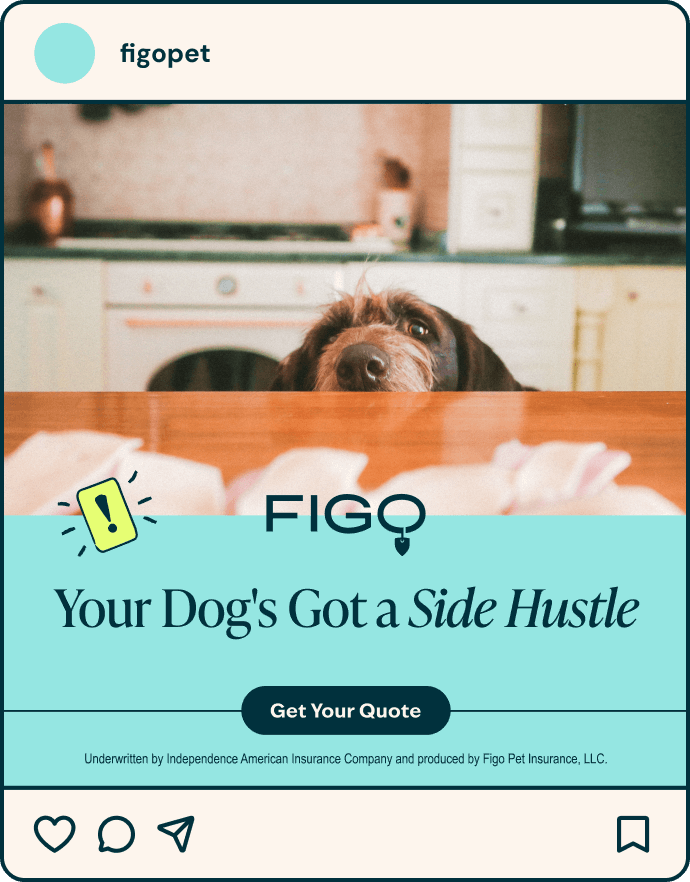figo-don't-wait-ad-4.png