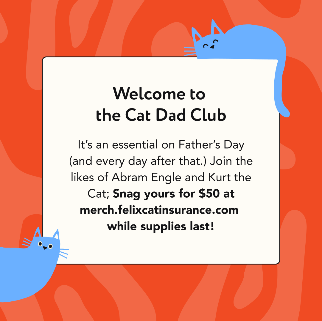 imgi_88_Cat+Dad+Hoodies+Father's+Day_Insta_8_1080x1080.png