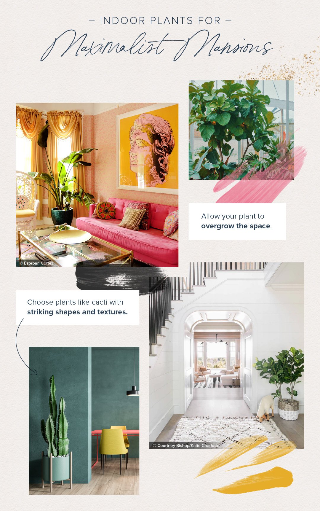 Floral Blog Infographics & Printables (Blogsocial)(Design)