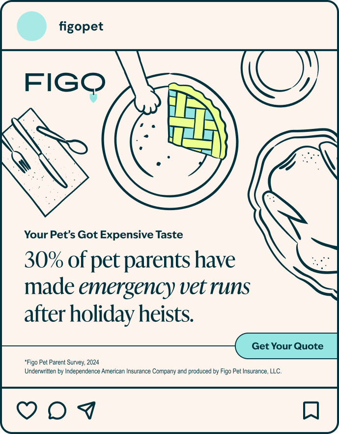figo-don't-wait-ad-3.png