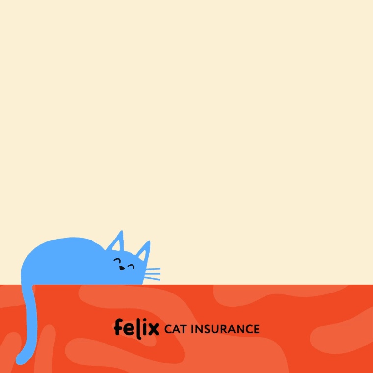 imgi_84_Cat_dad_hoodie_IG_1.gif
