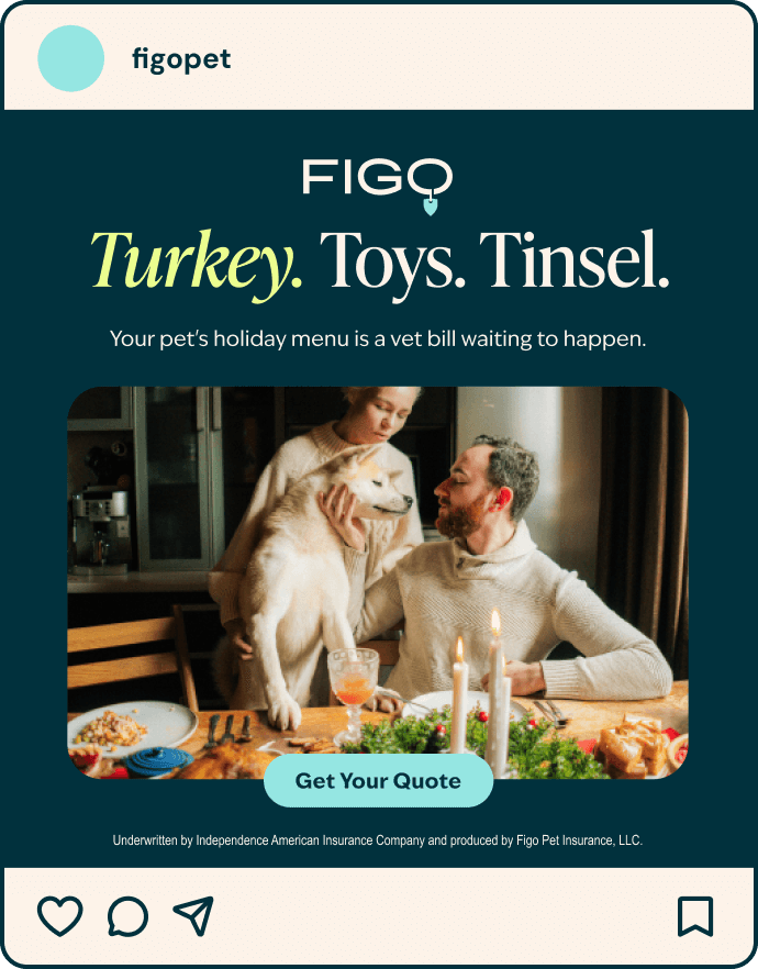 figo-don't-wait-ad-2.png