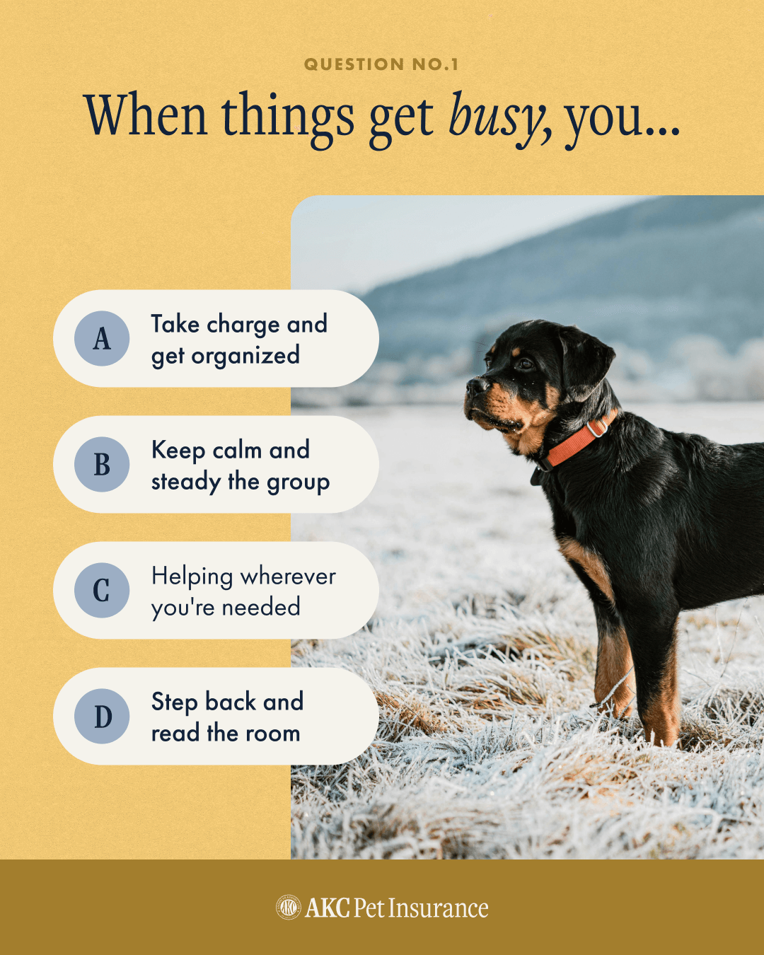 AKCPI_Dog Week 2-What Working Dog Are You_2.png