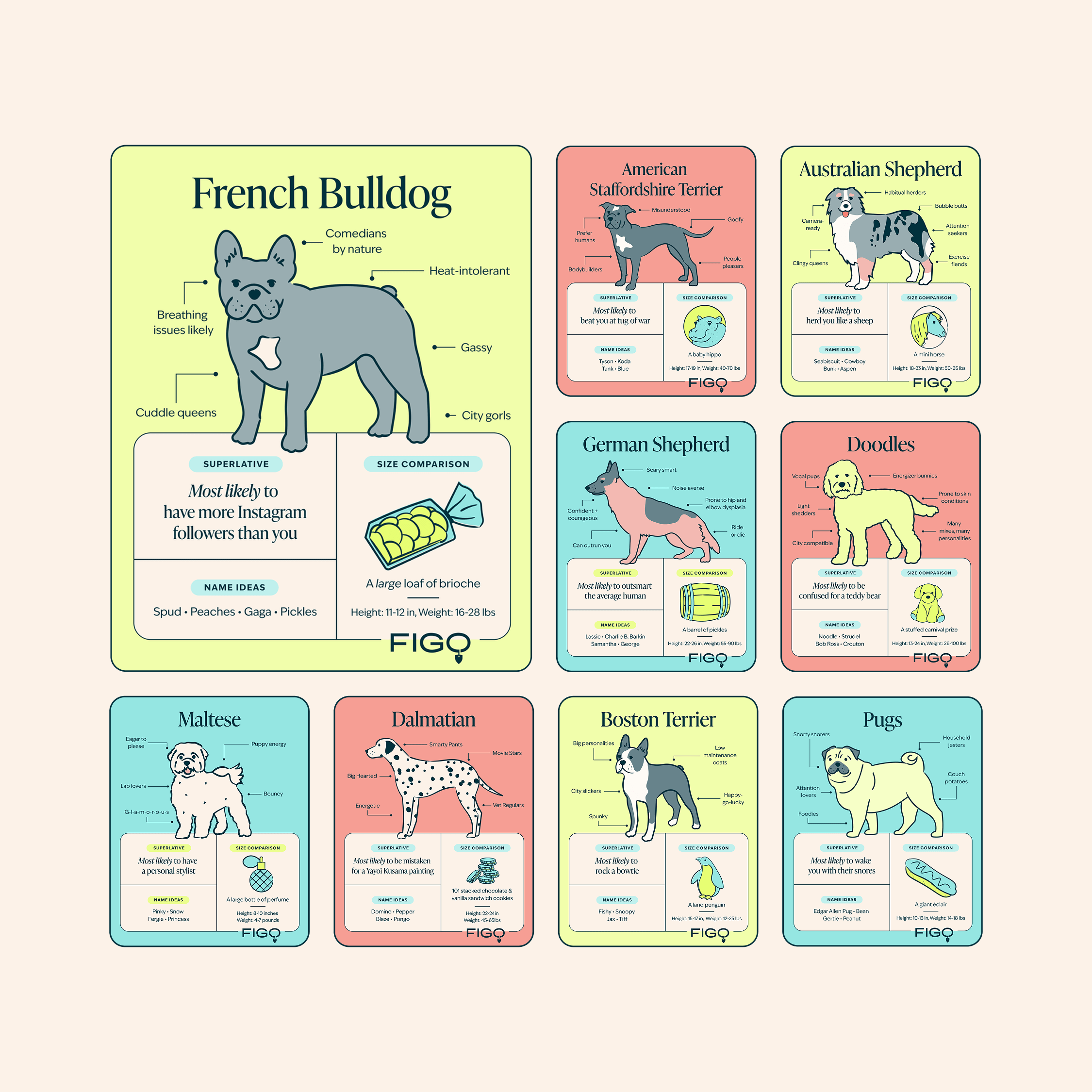  Blog Series    The Good, the Bad, and the Ugly Breed Guides   
Figo's breed guide series offers a humorous look at the personalities, common health concerns, and histories of some of the most popular dog breeds. To complement the series, we created 