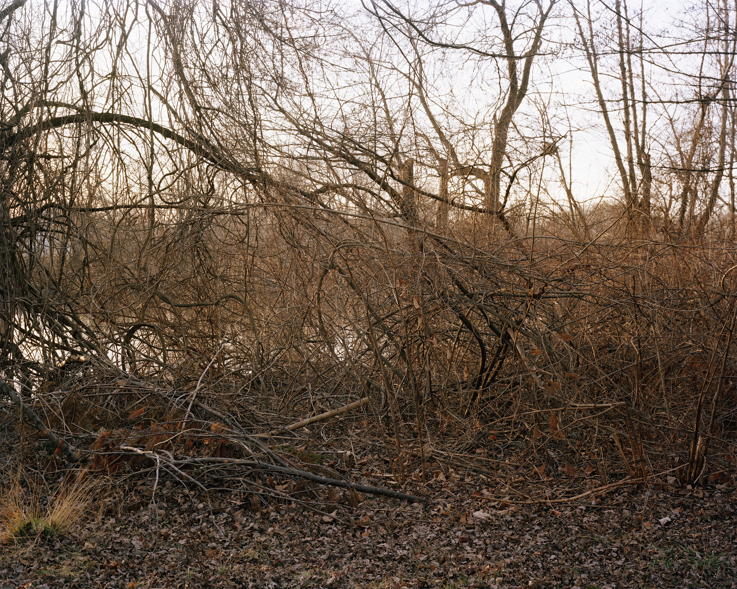 Gilbert_20120219_006_p1.jpg